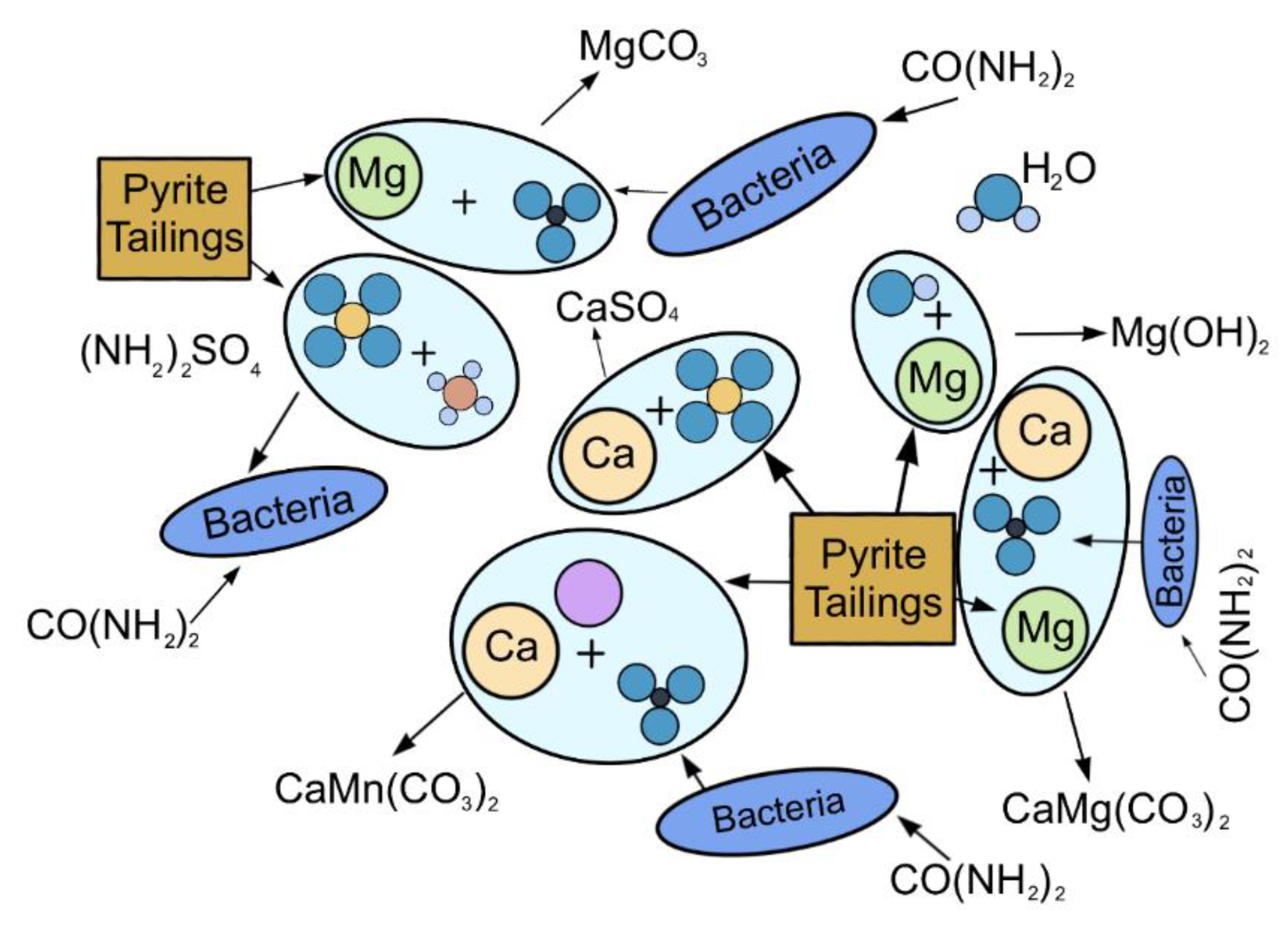 Molecules 27 03608 g012