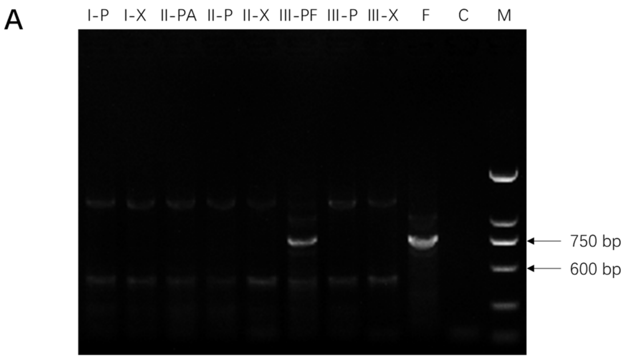 Molecules 27 03649 g001a
