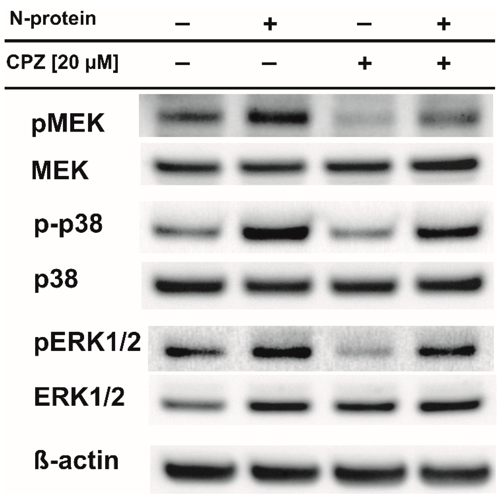 Molecules 27 03651 g006