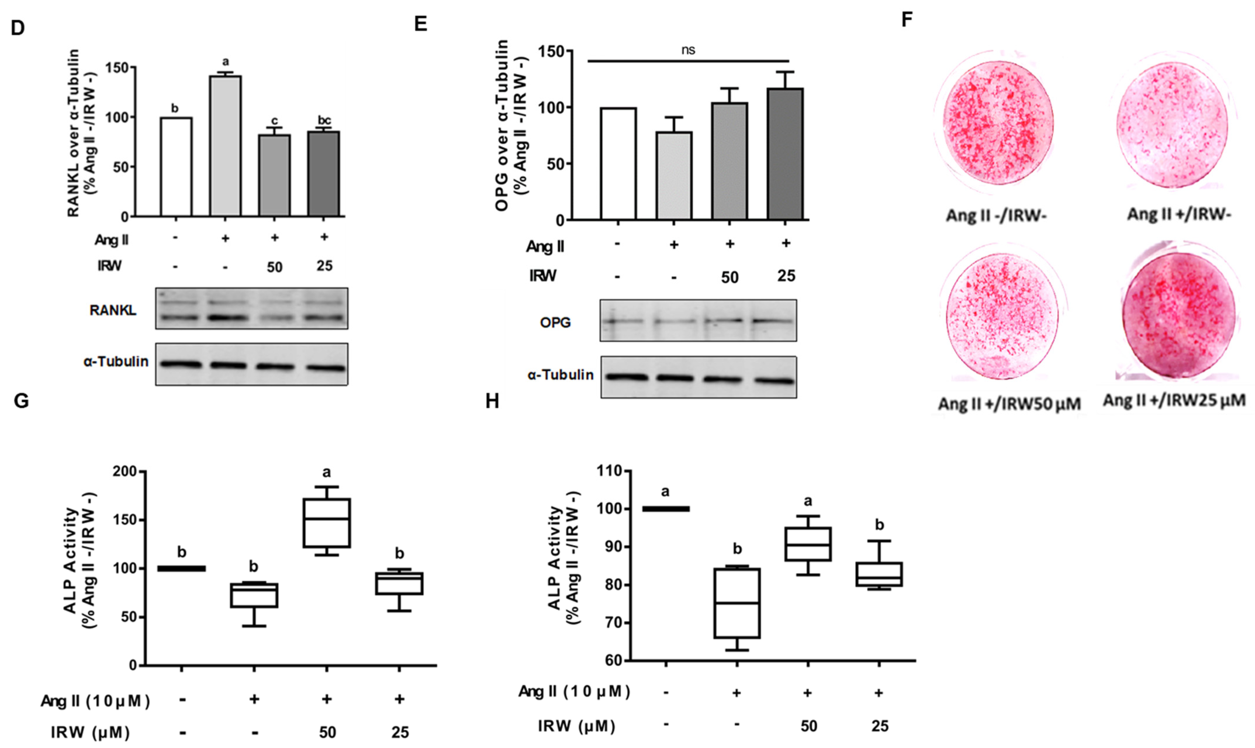 Molecules 27 03684 g001b
