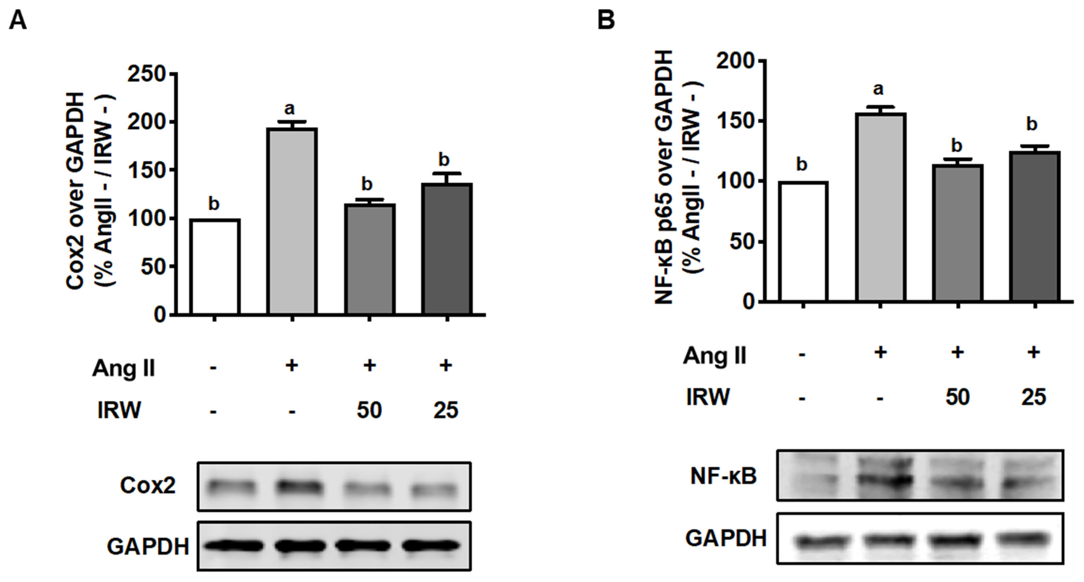 Molecules 27 03684 g004