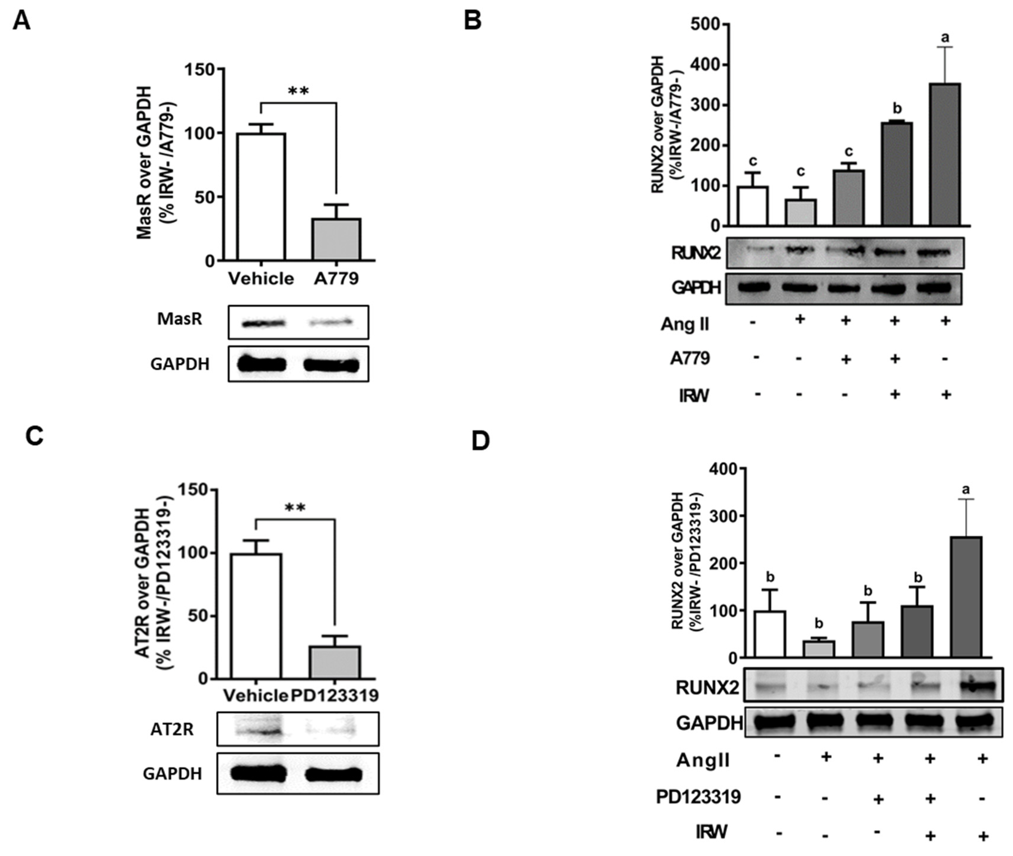 Molecules 27 03684 g005