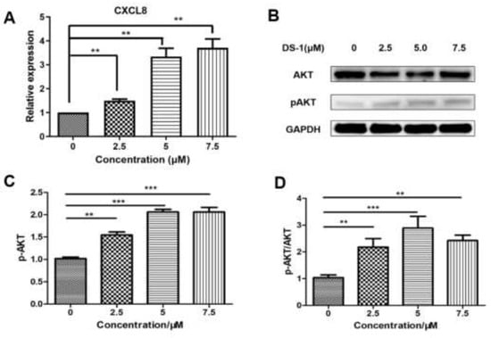 Molecules | Free Full-Text | Dihydrotanshinone I Enhances Cell 