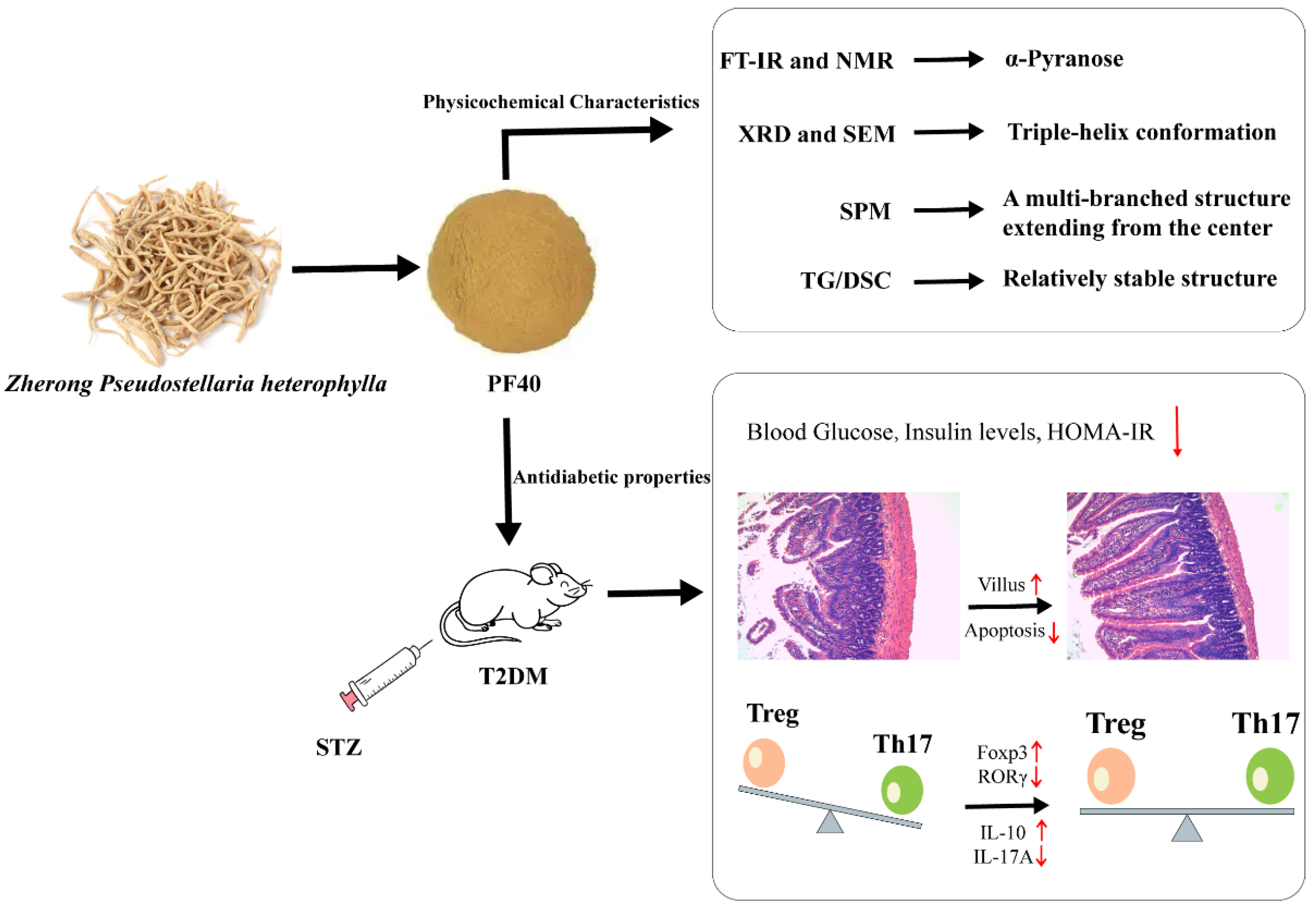 Molecules 27 03719 g001