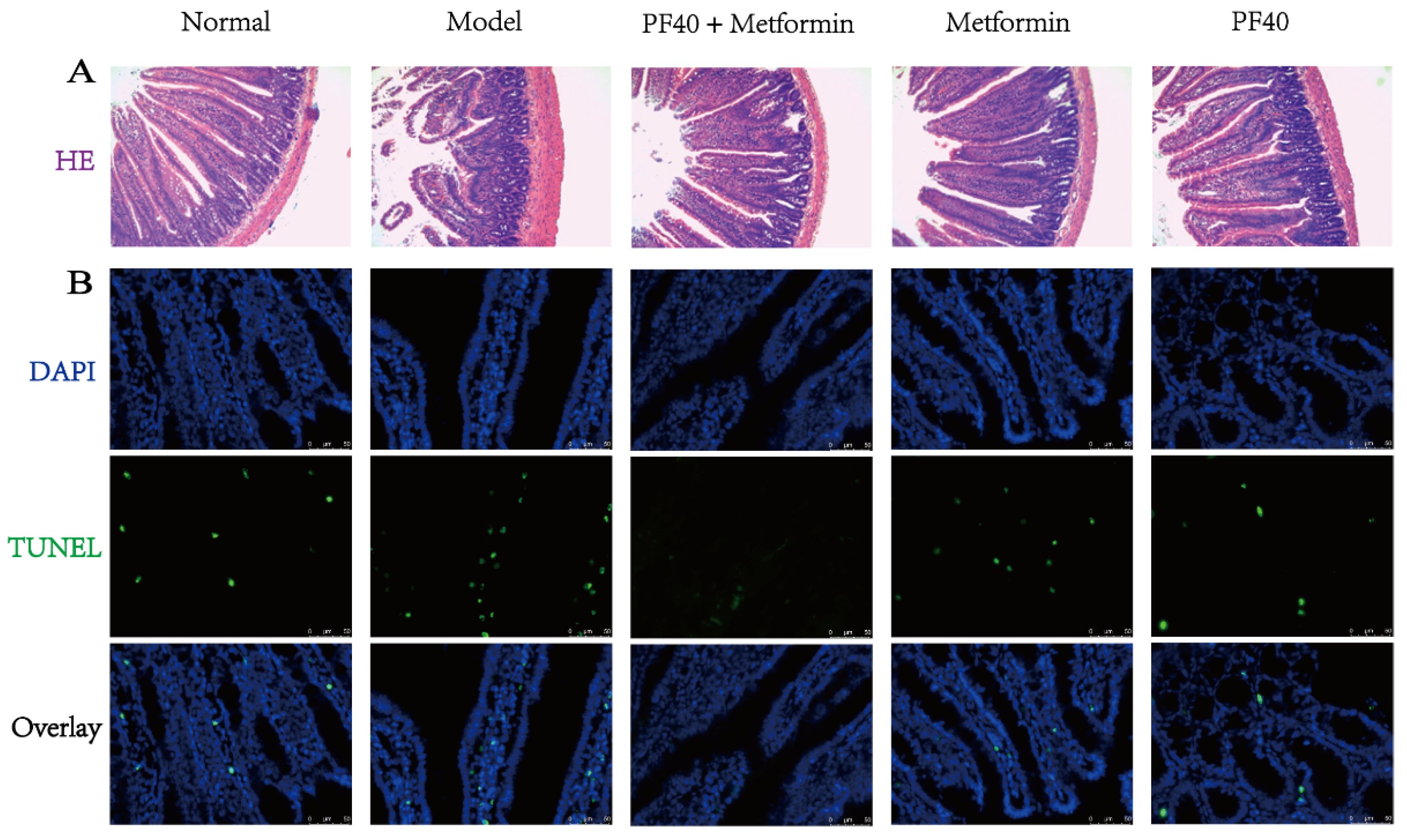 Molecules 27 03719 g010