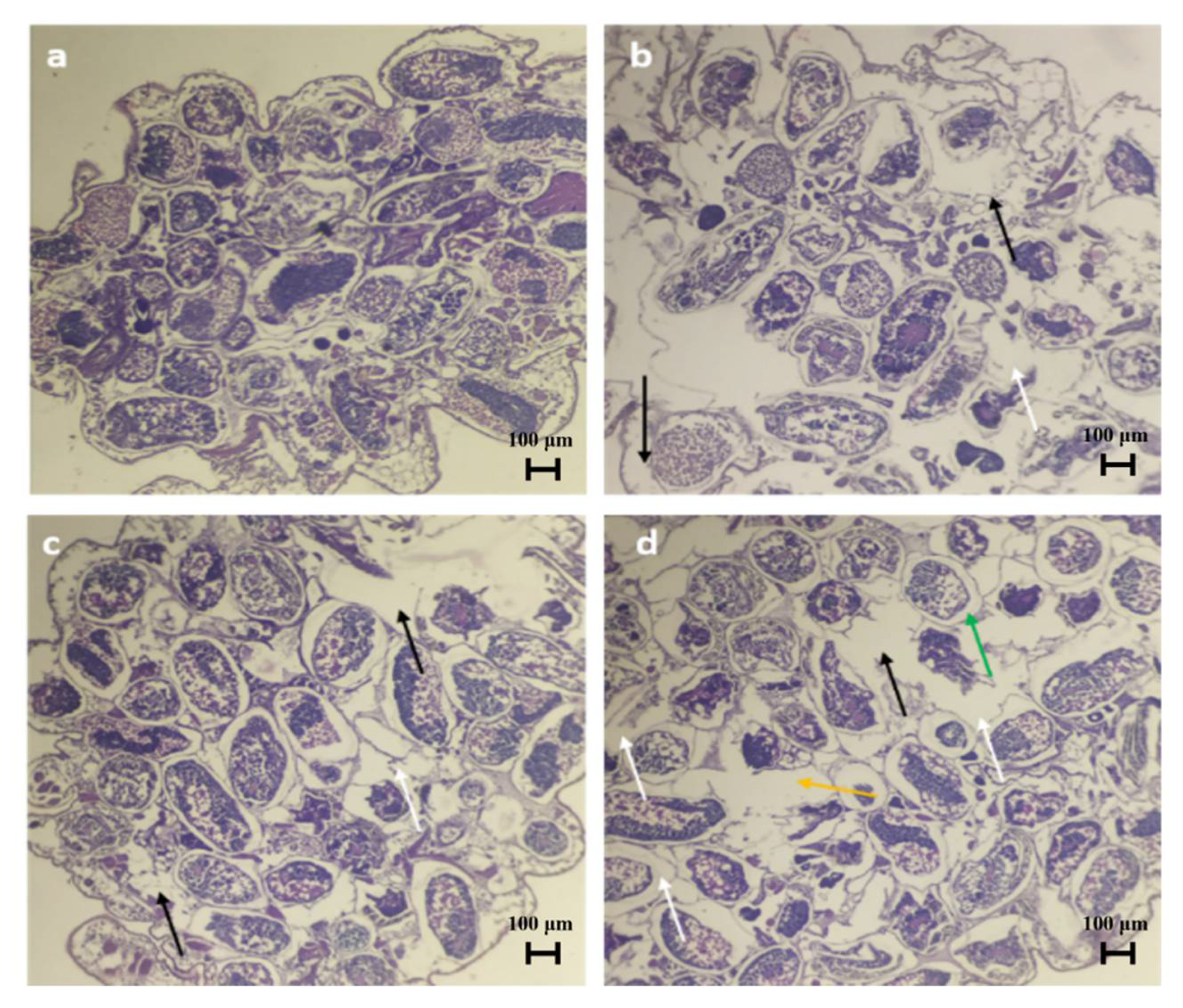 Molecules 27 03720 g014 Molecules 27 03720 g014