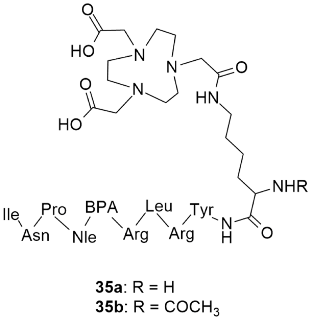 Molecules 27 03726 g010