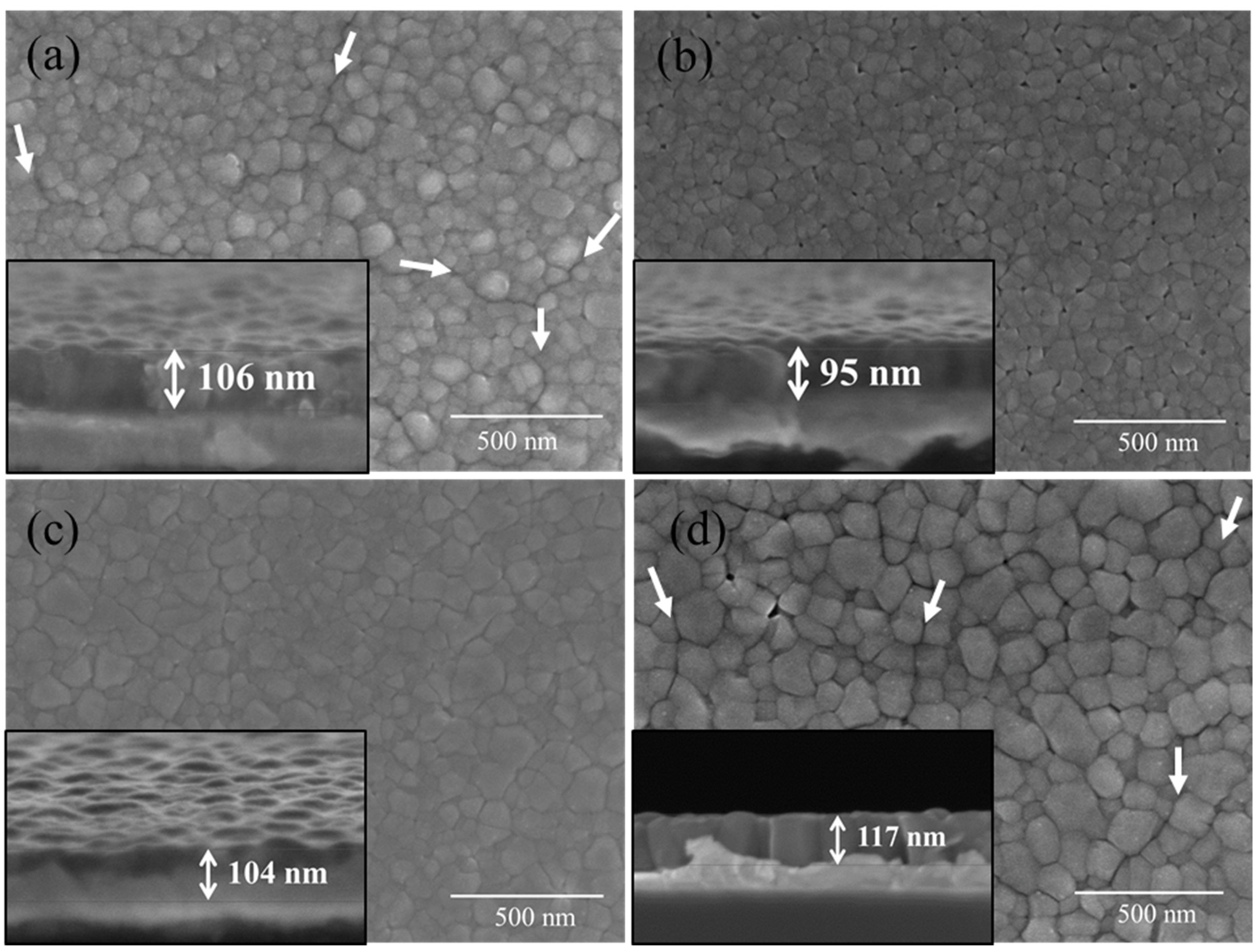 Molecules 27 03753 g006