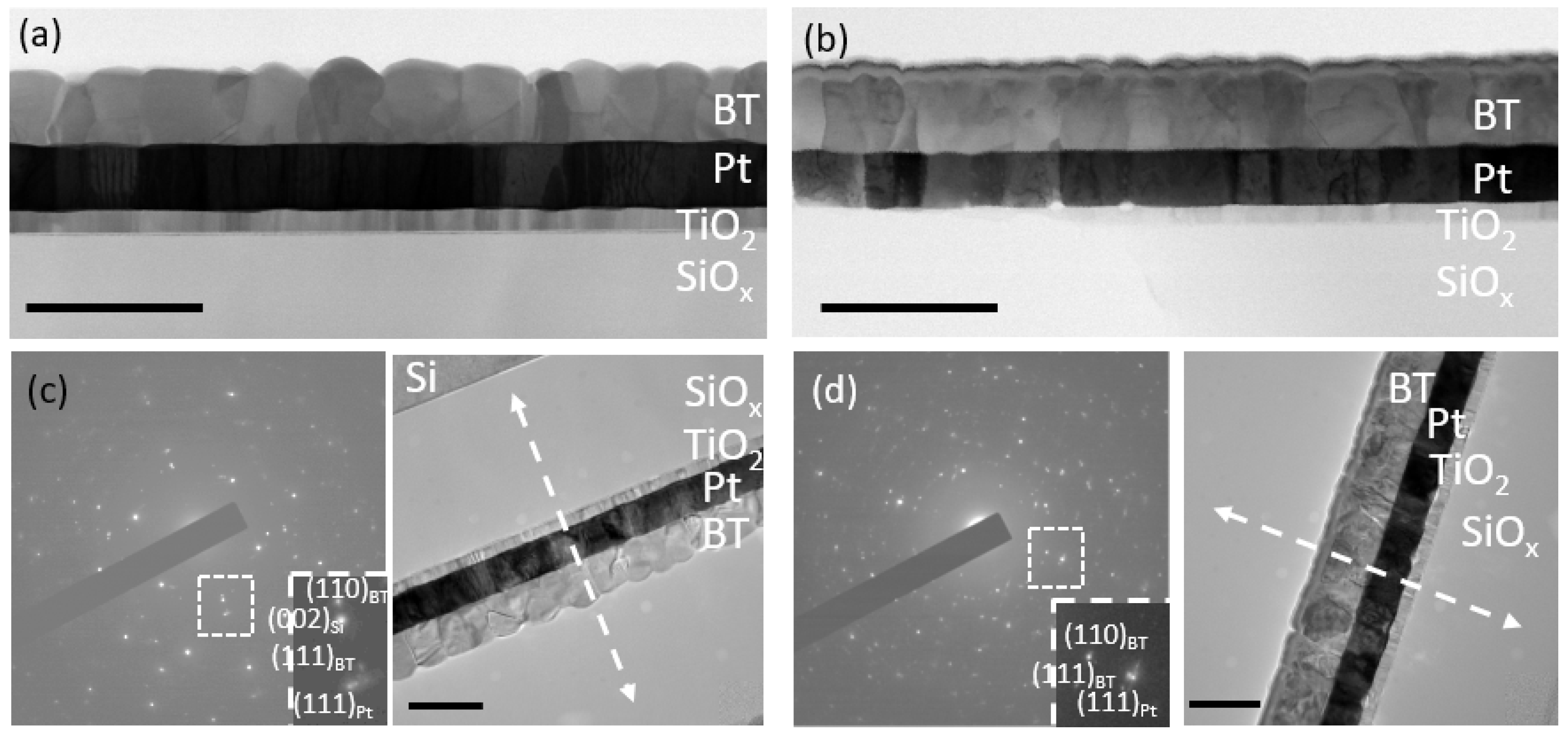 Molecules 27 03753 g010
