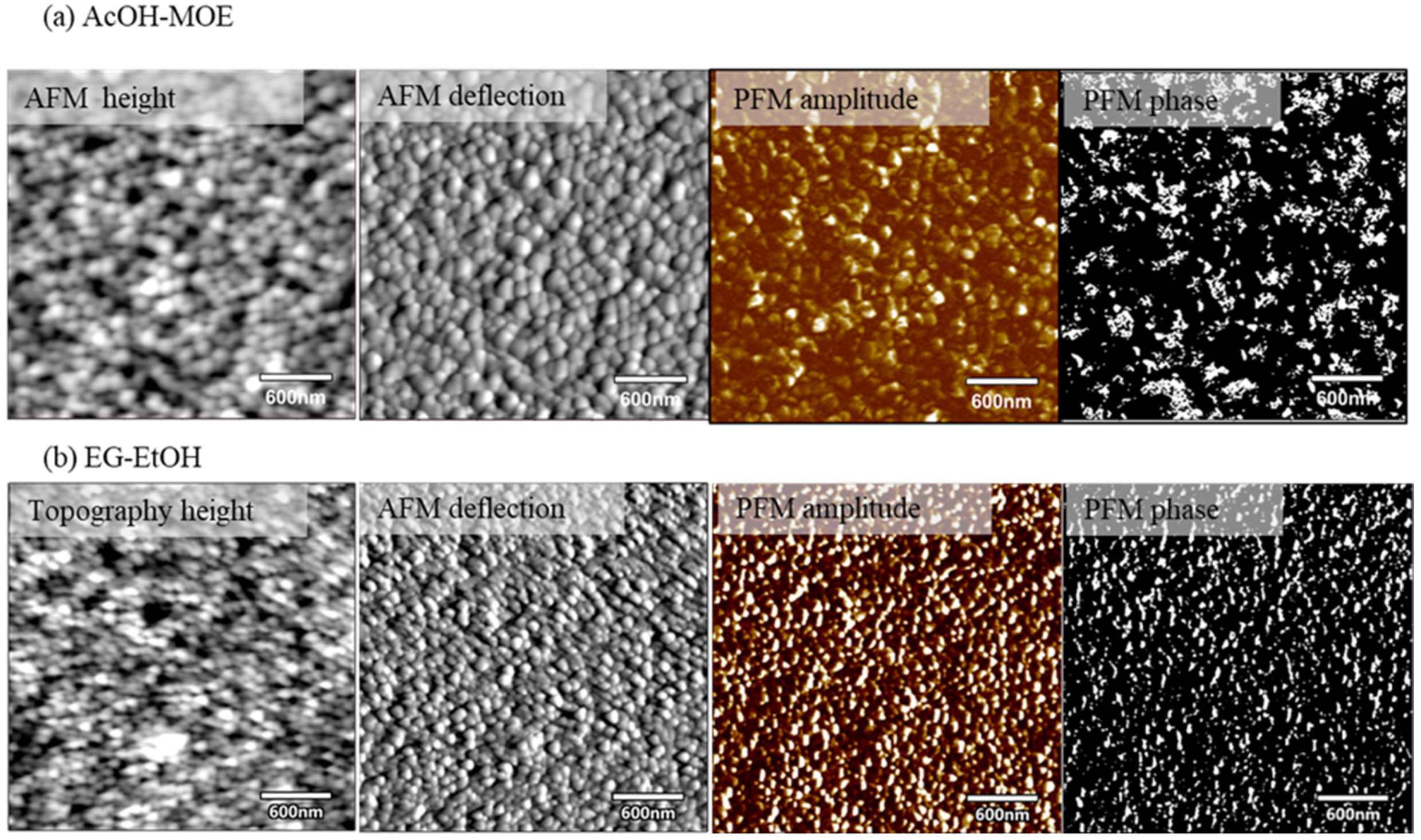 Molecules 27 03753 g011
