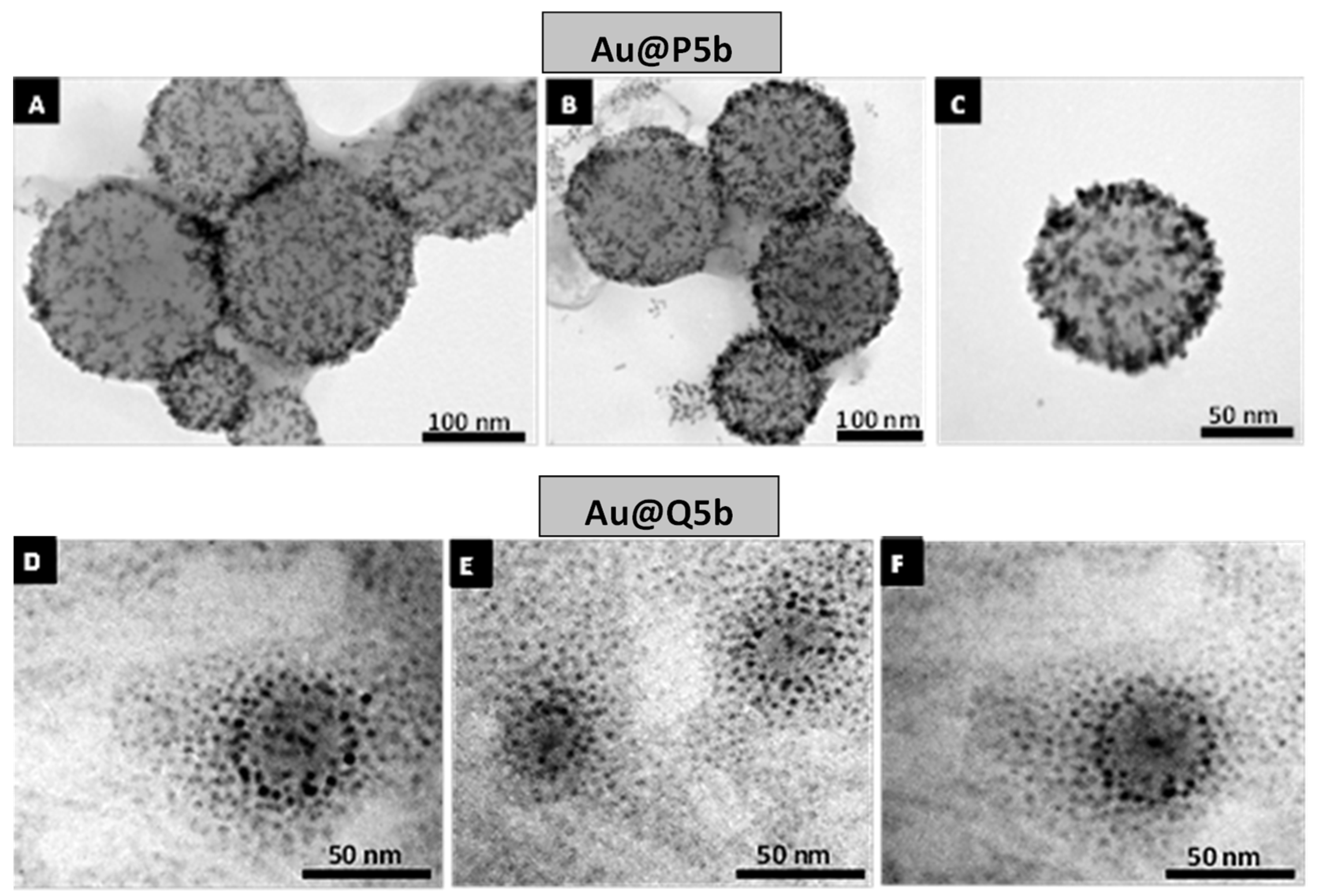 Molecules 27 03764 g002