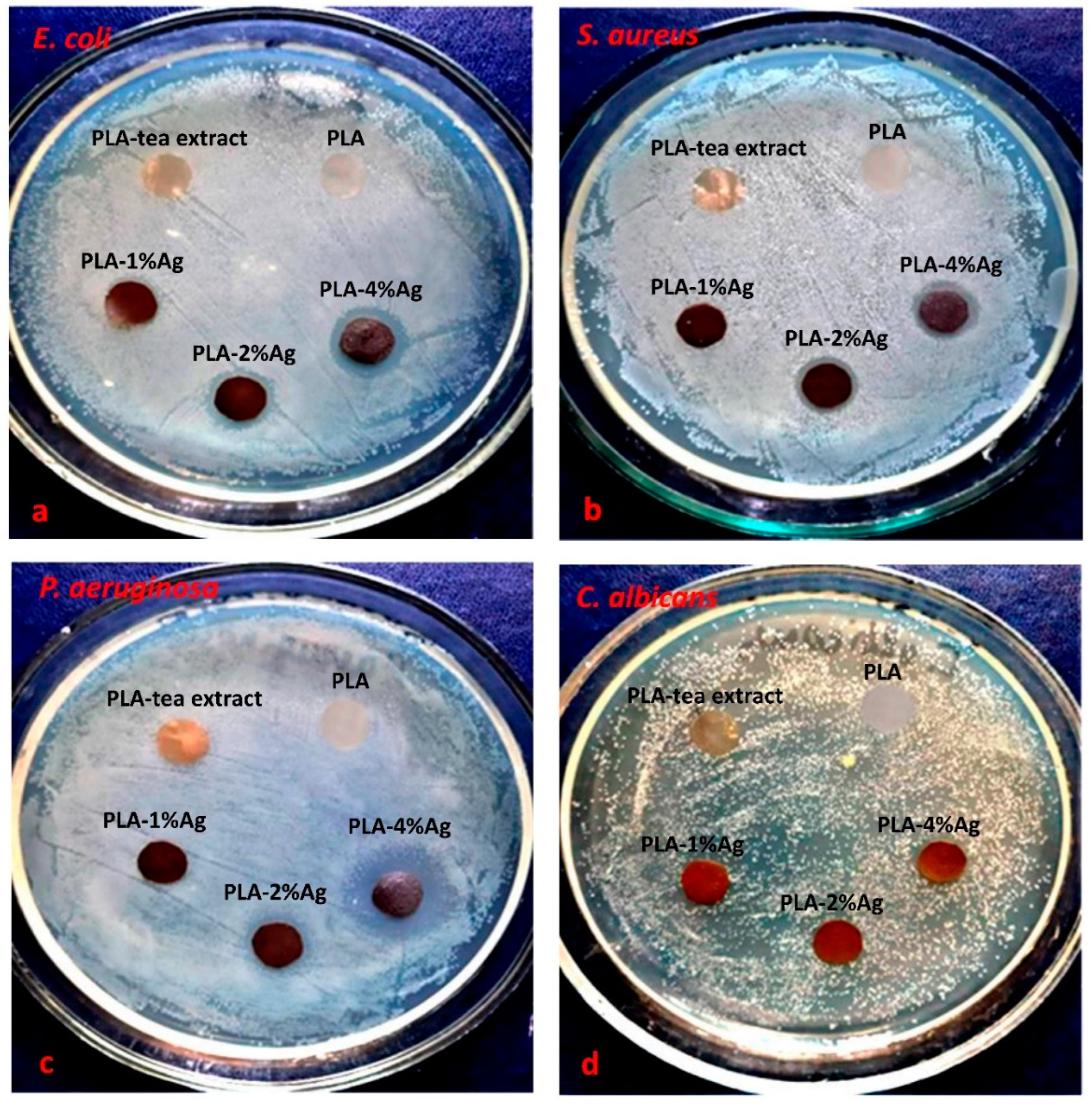 Molecules 27 03769 g007 Molecules 27 03769 g007