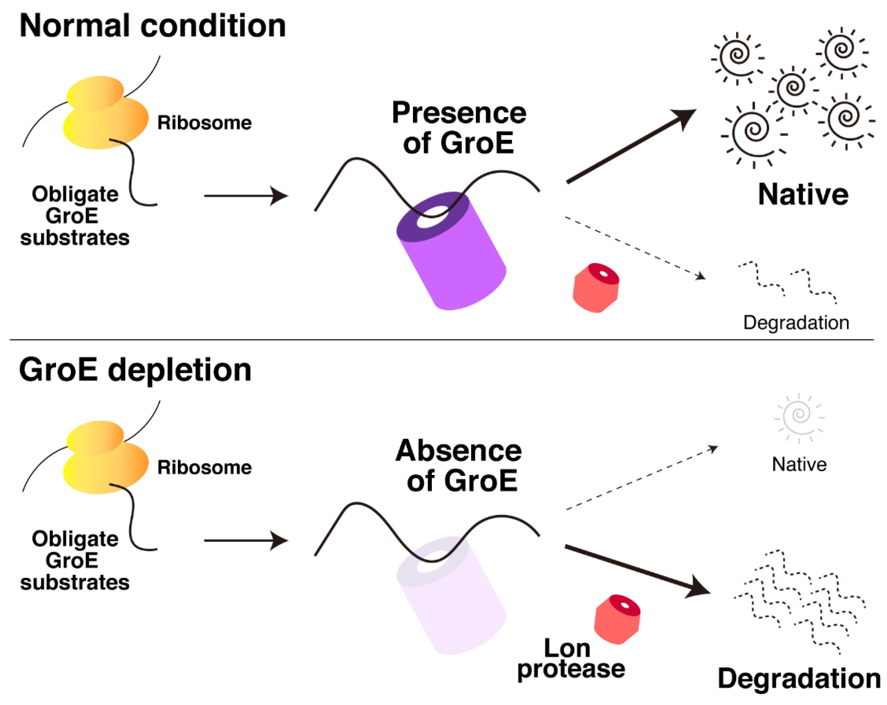 Molecules 27 03772 g004