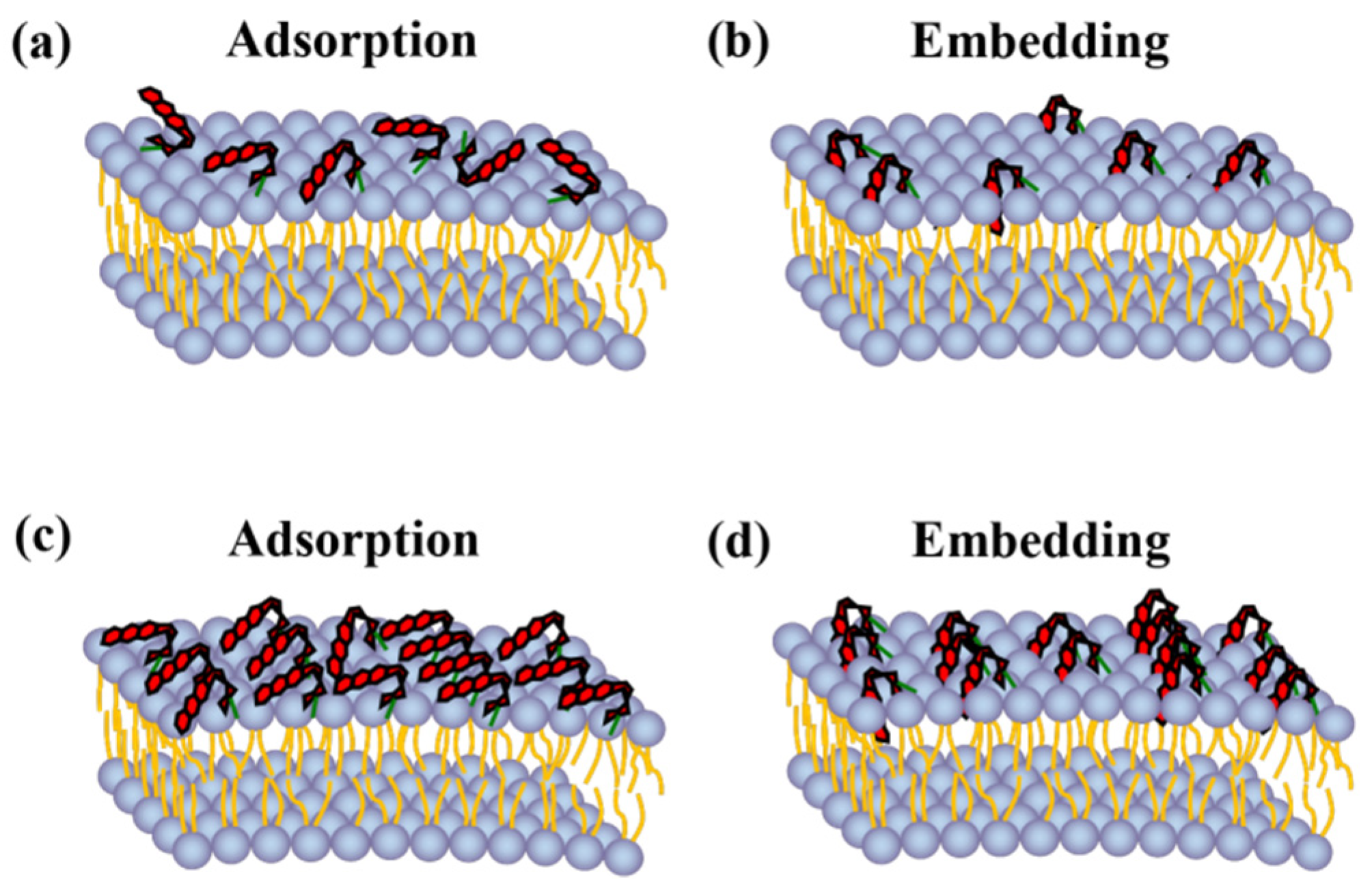 Molecules 27 03778 g006