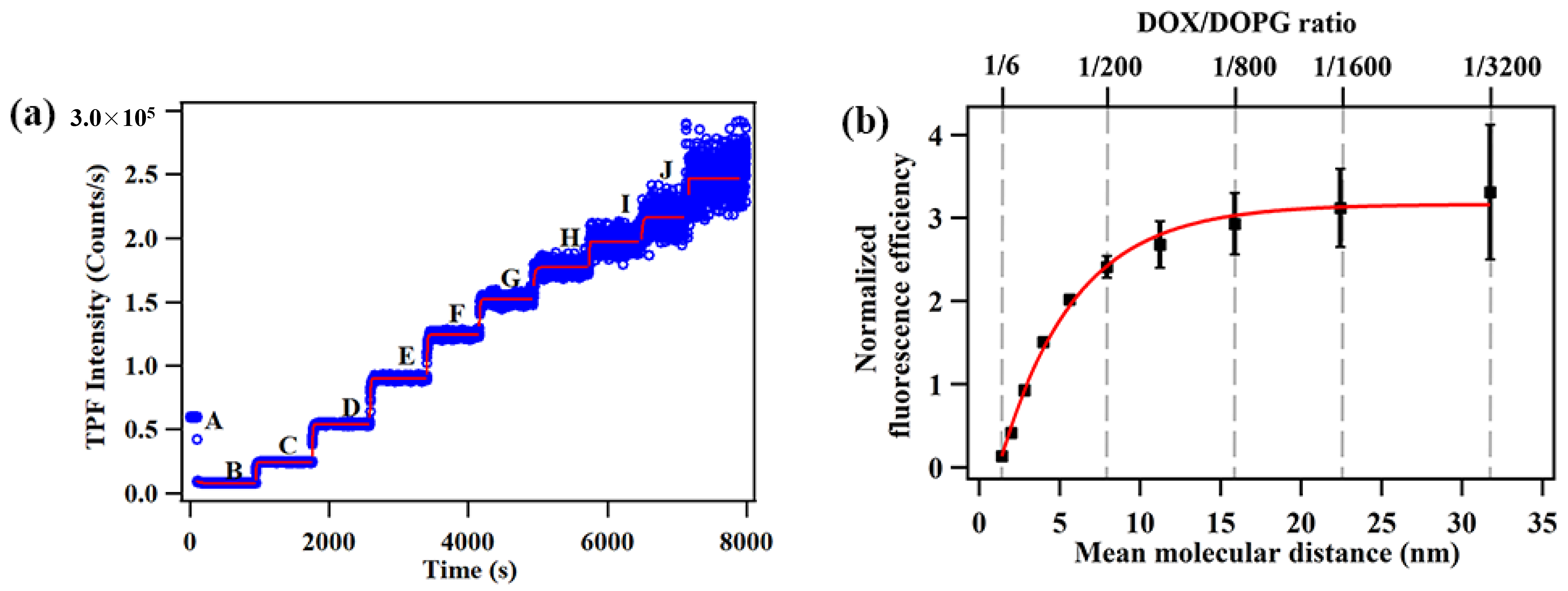 Molecules 27 03778 g007