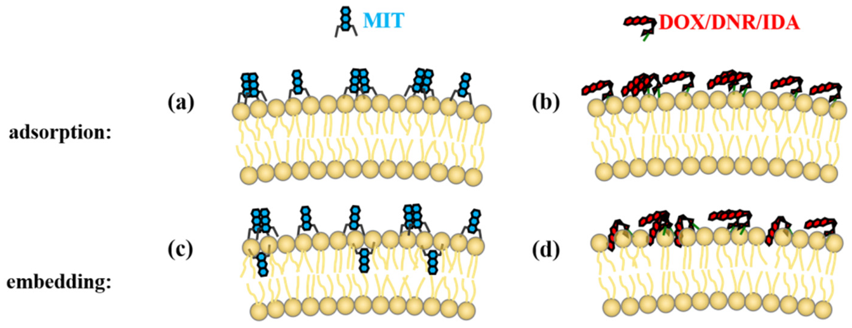 Molecules 27 03778 g011