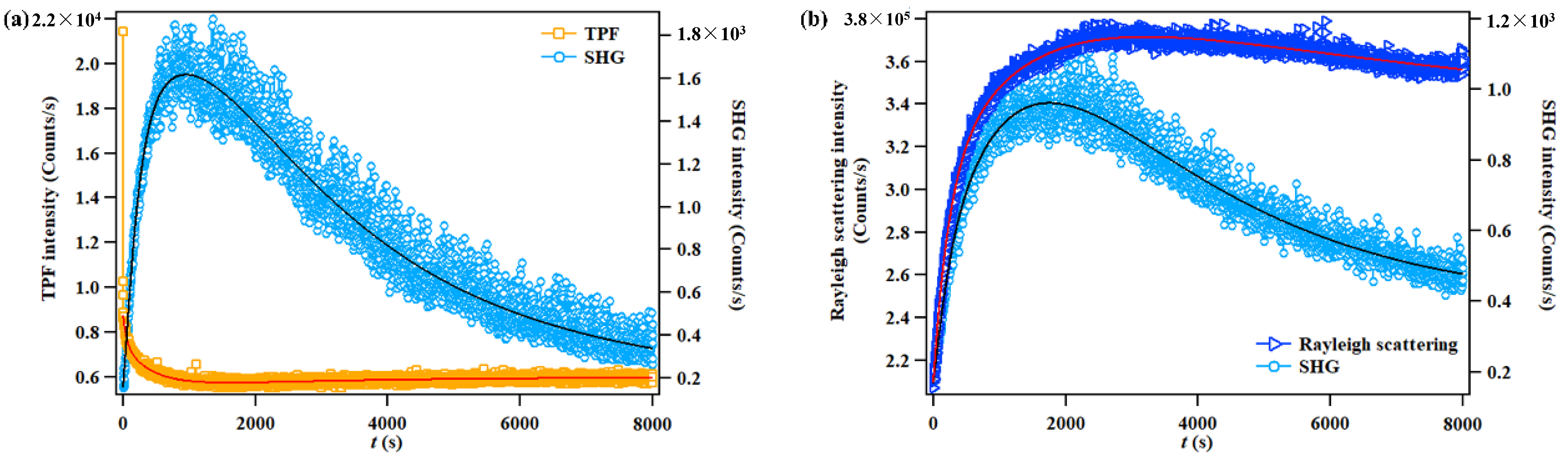 Molecules 27 03778 g012