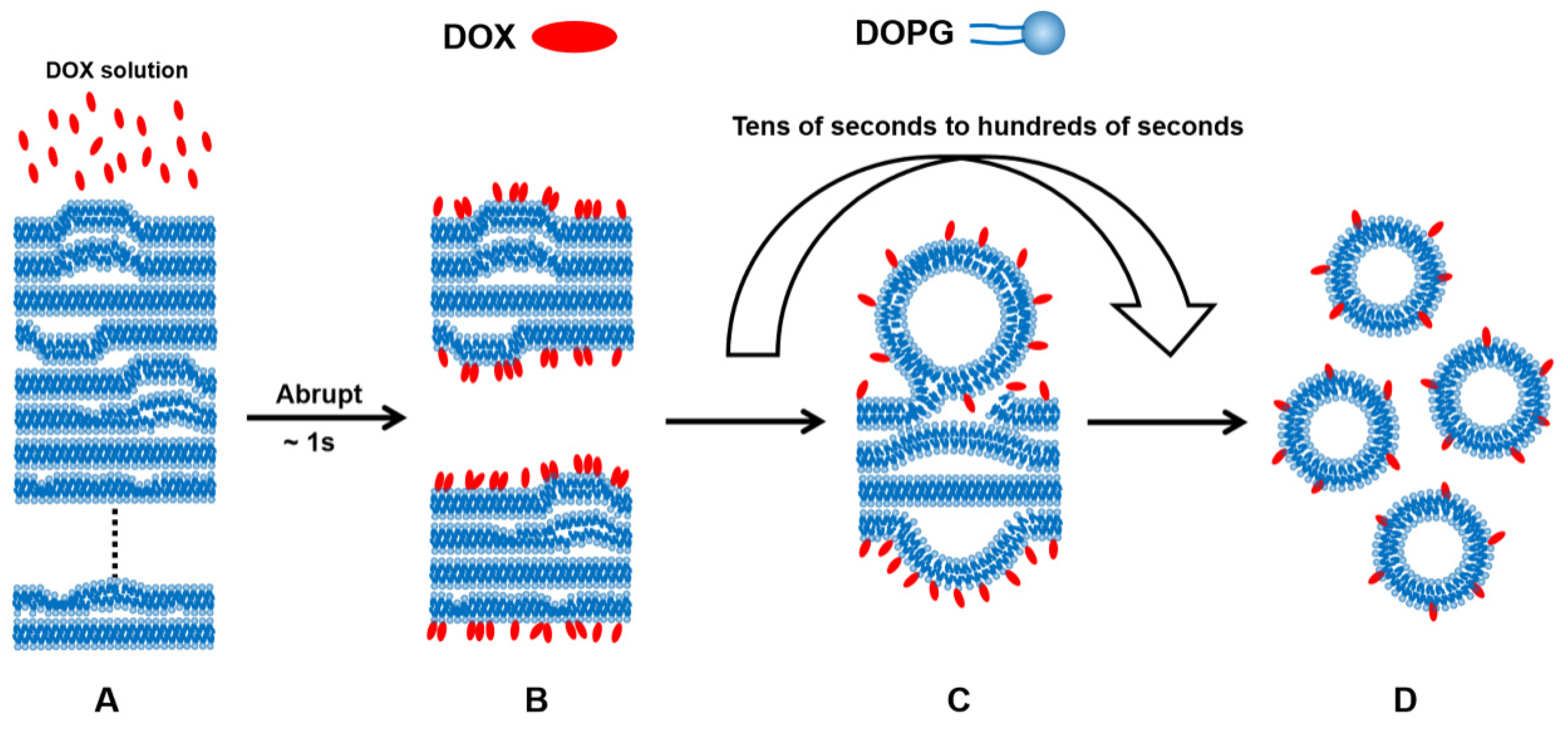 Molecules 27 03778 g014