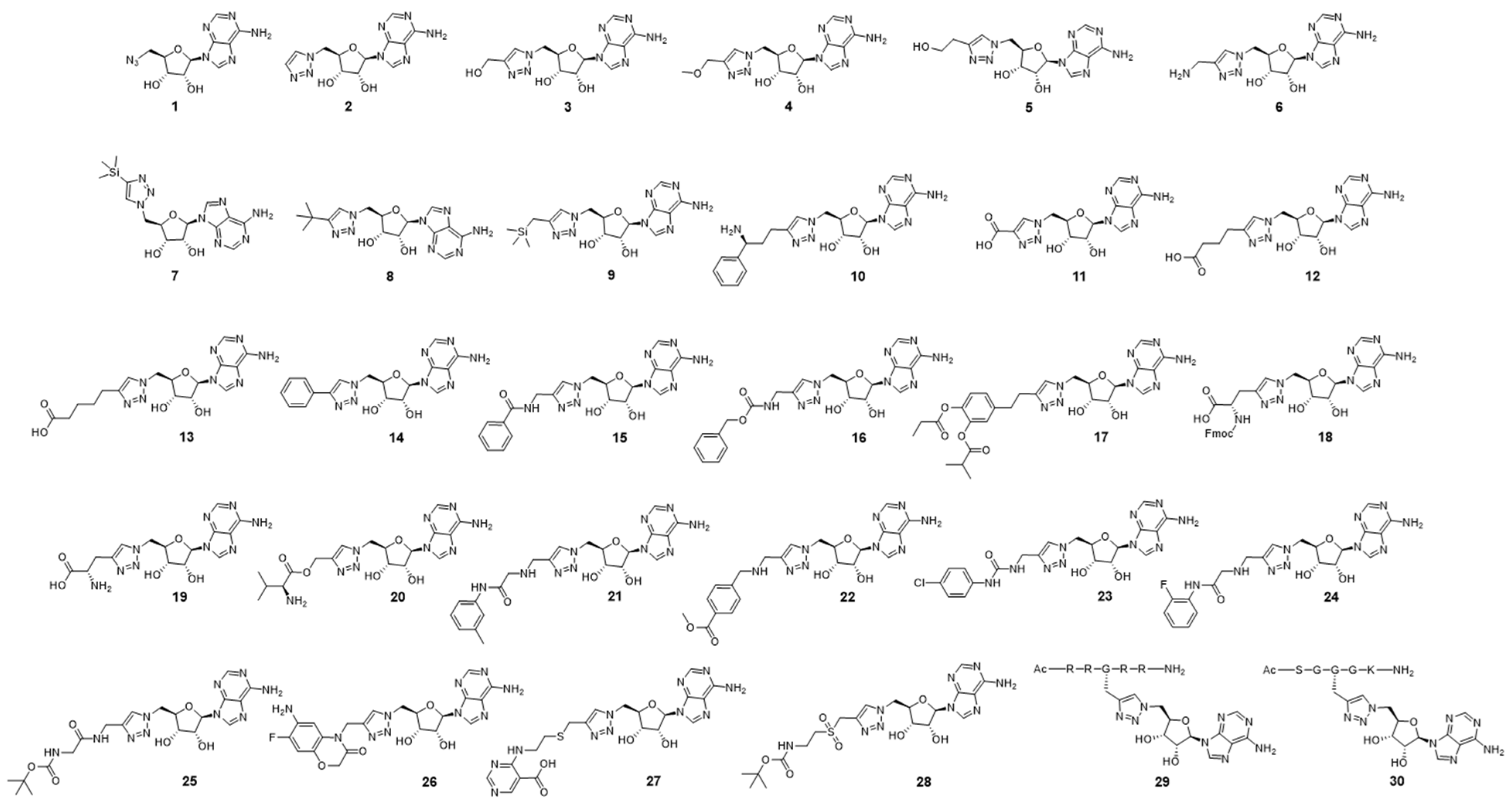 Molecules 27 03779 g004