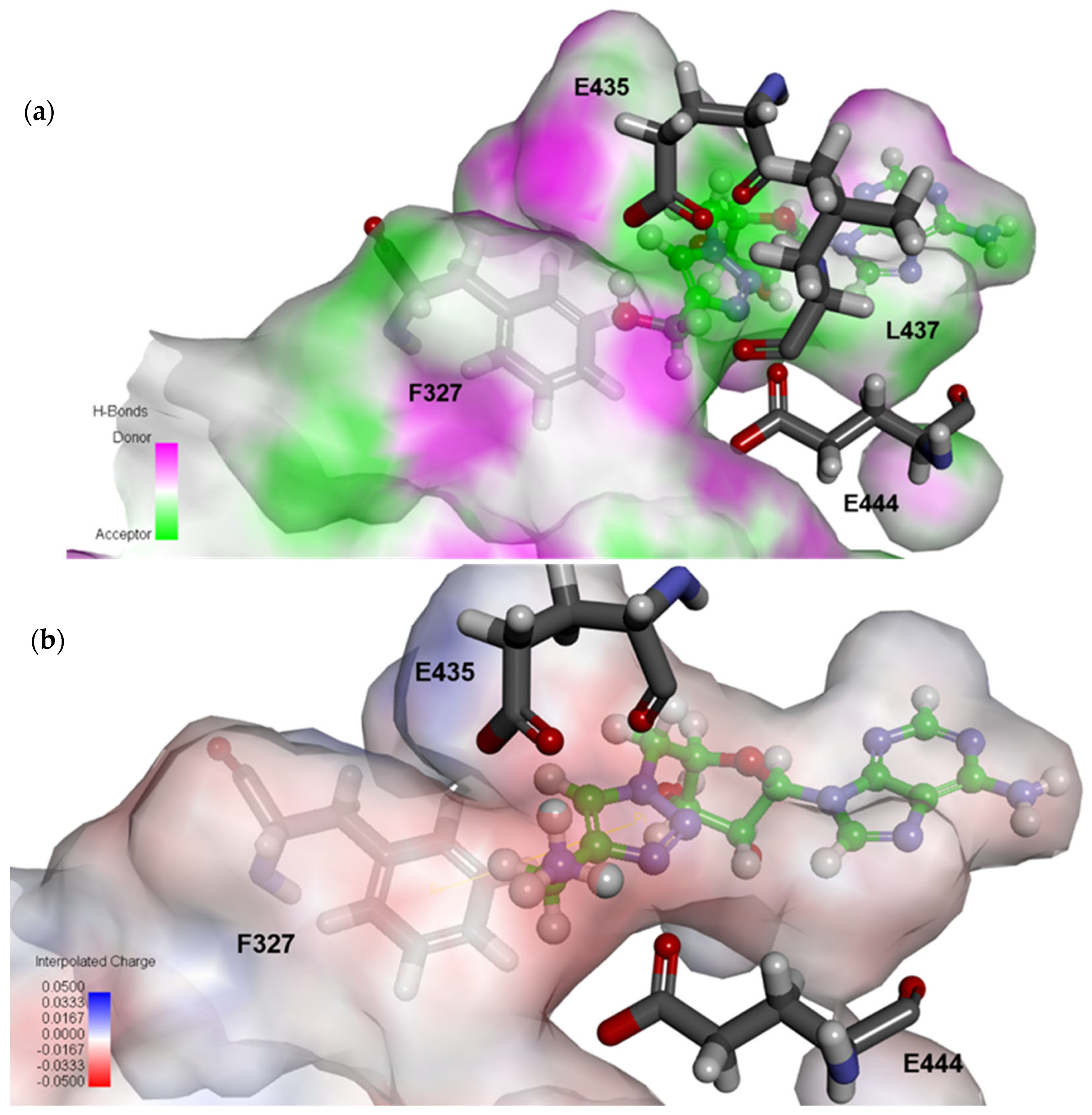 Molecules 27 03779 g005