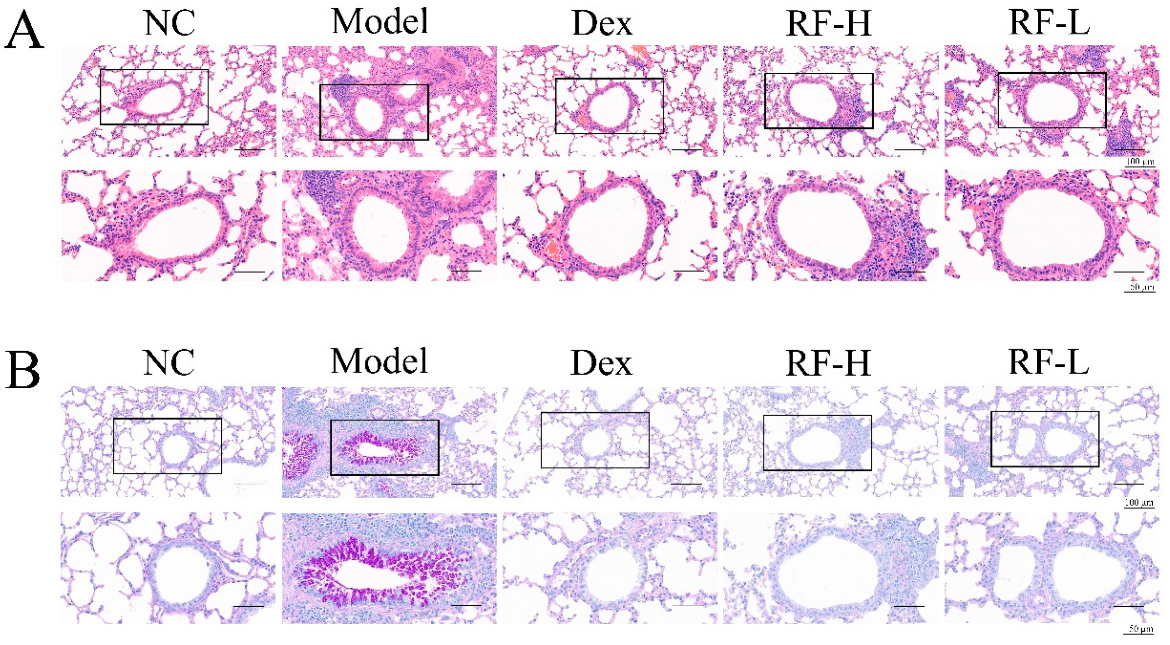 Molecules 27 03789 g003