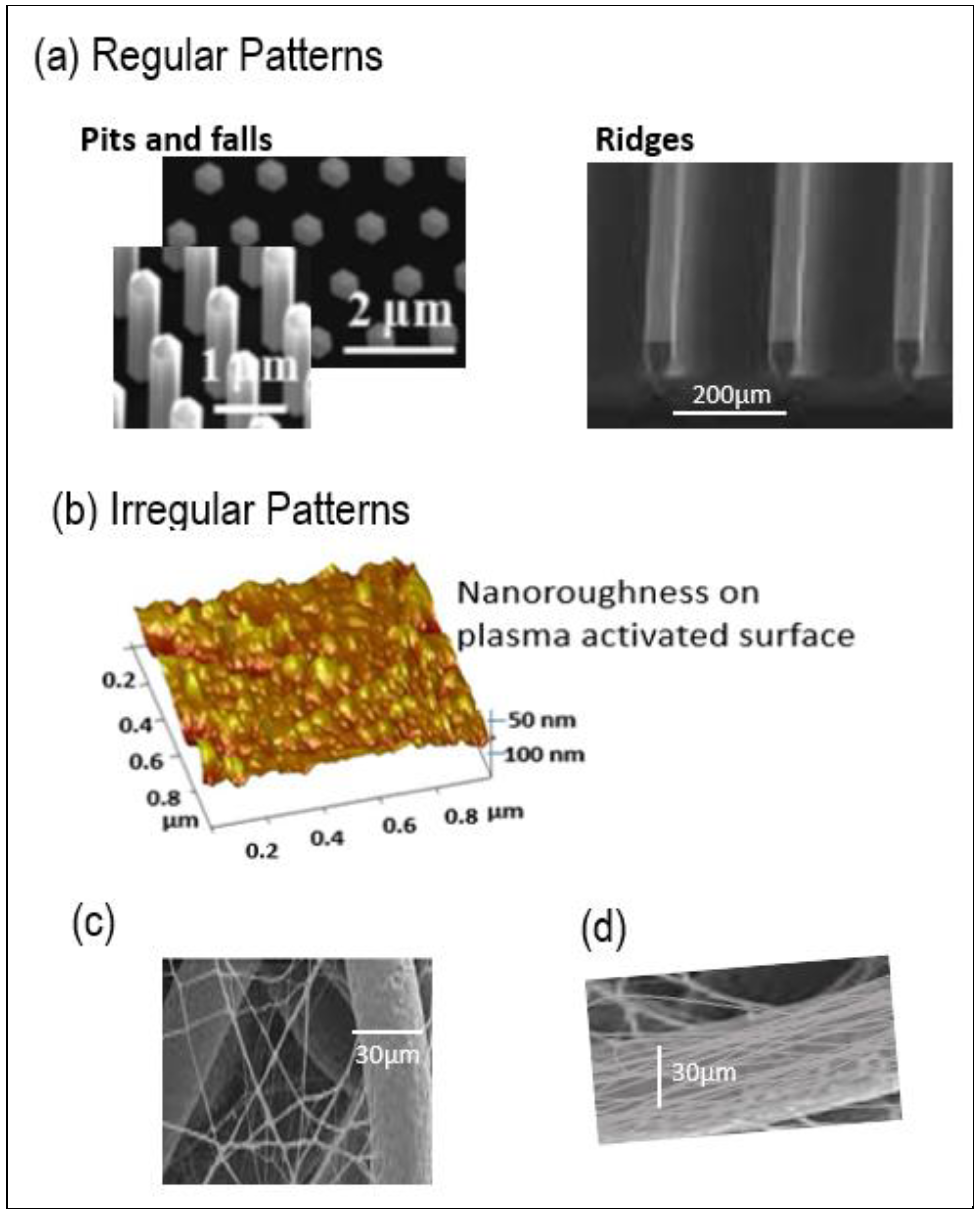 Molecules 27 03790 g001