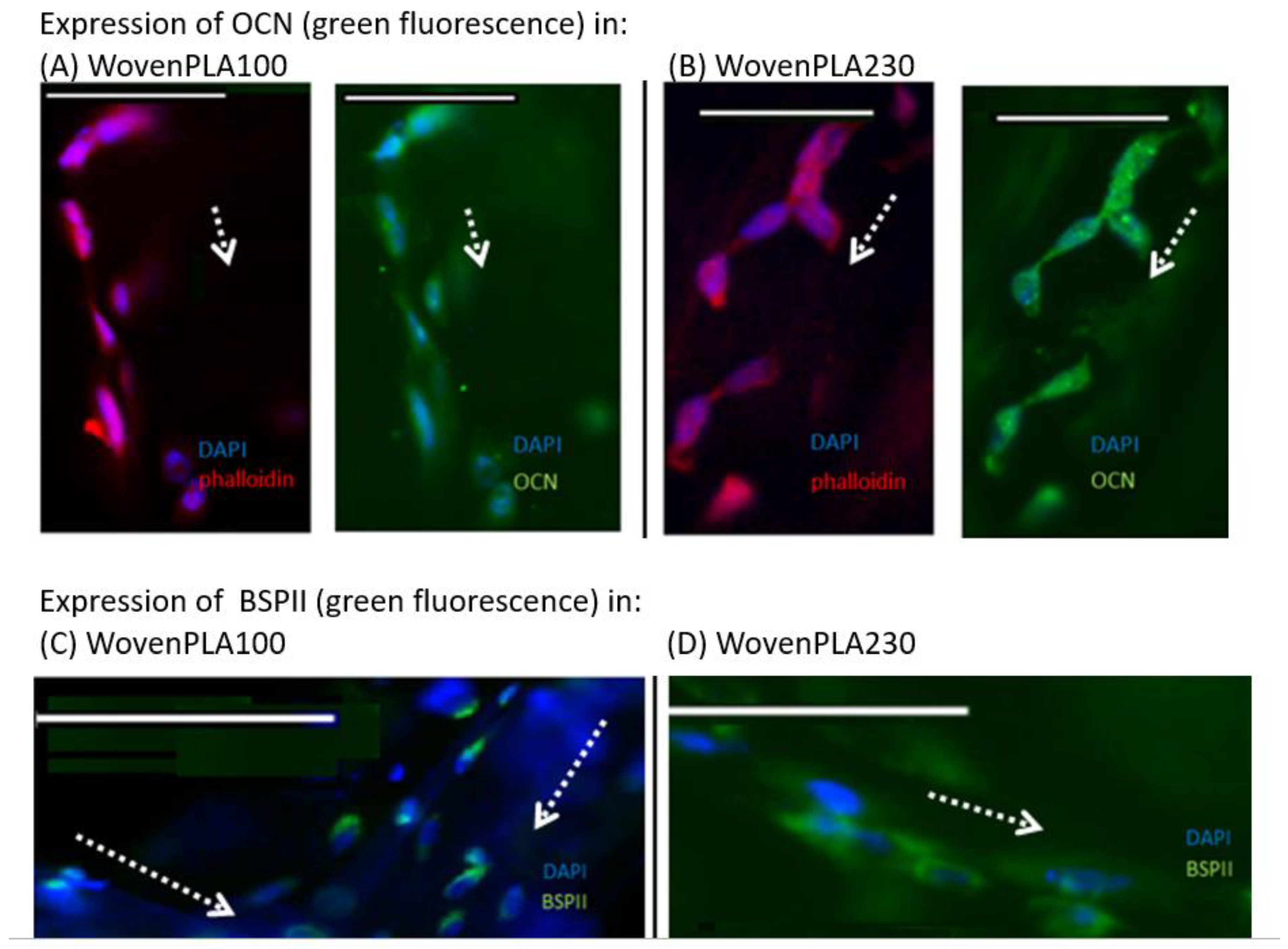Molecules 27 03790 g007