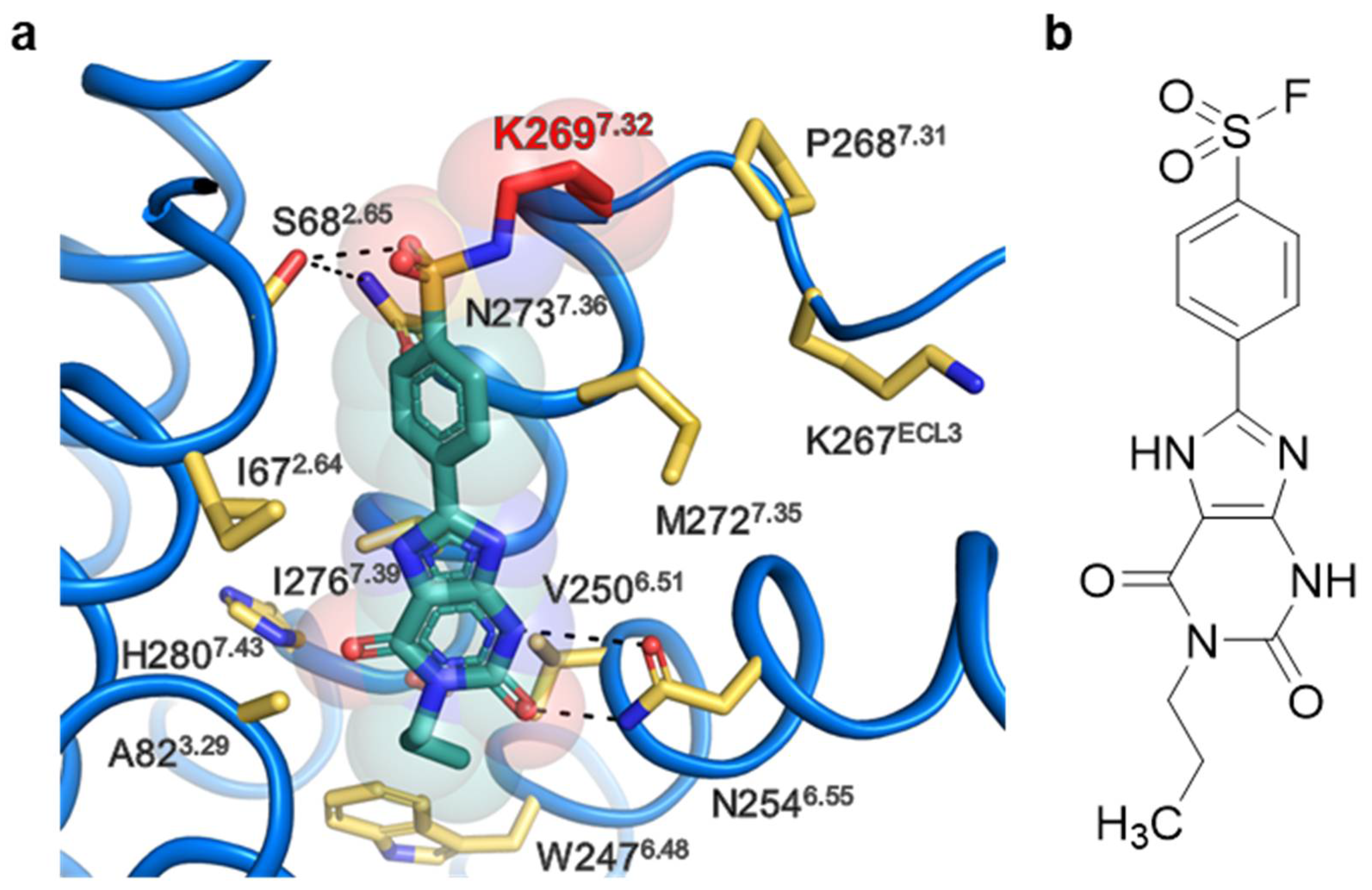 Molecules 27 03792 g005