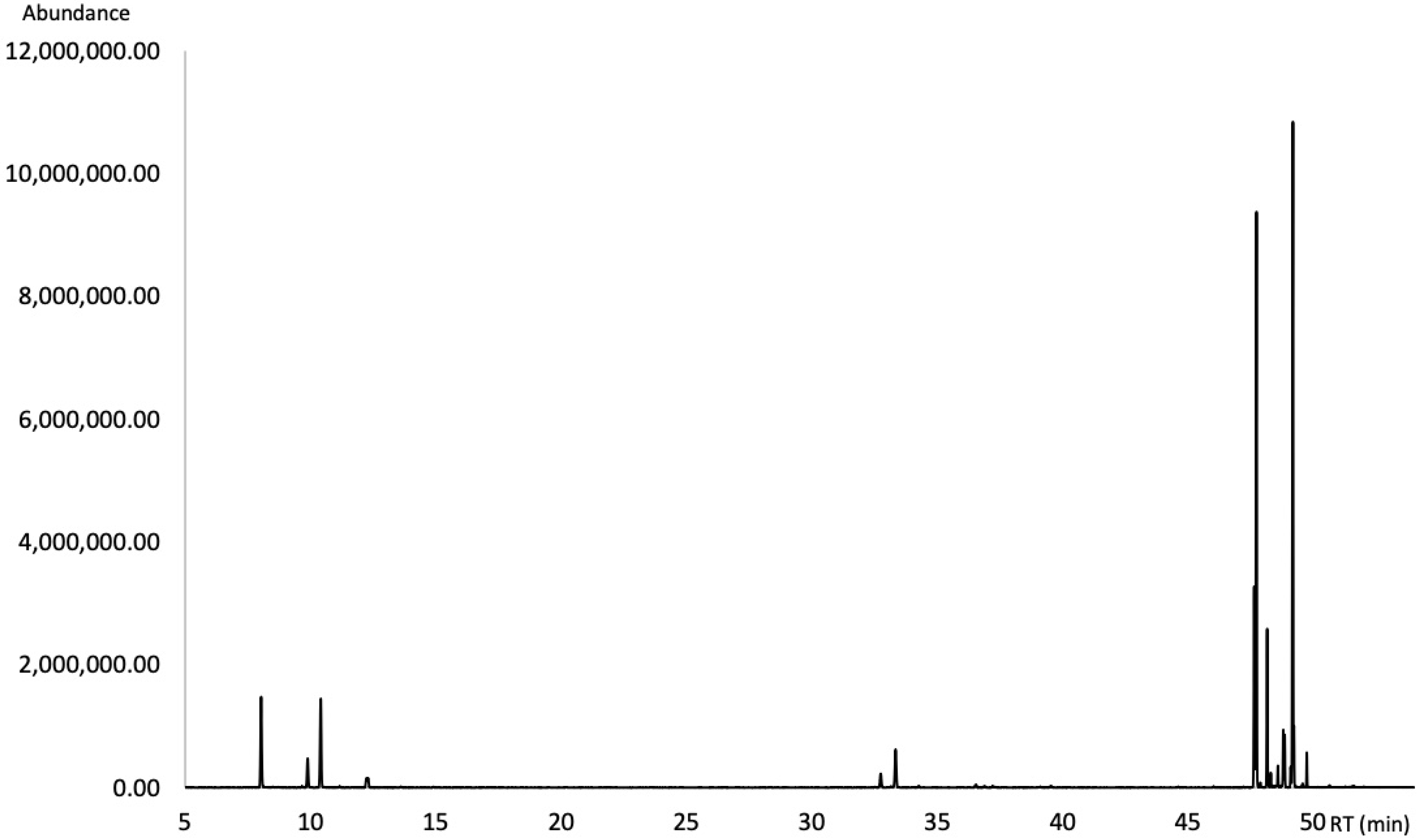 Masses of different root fractions of Araucaria angustifolia at the end