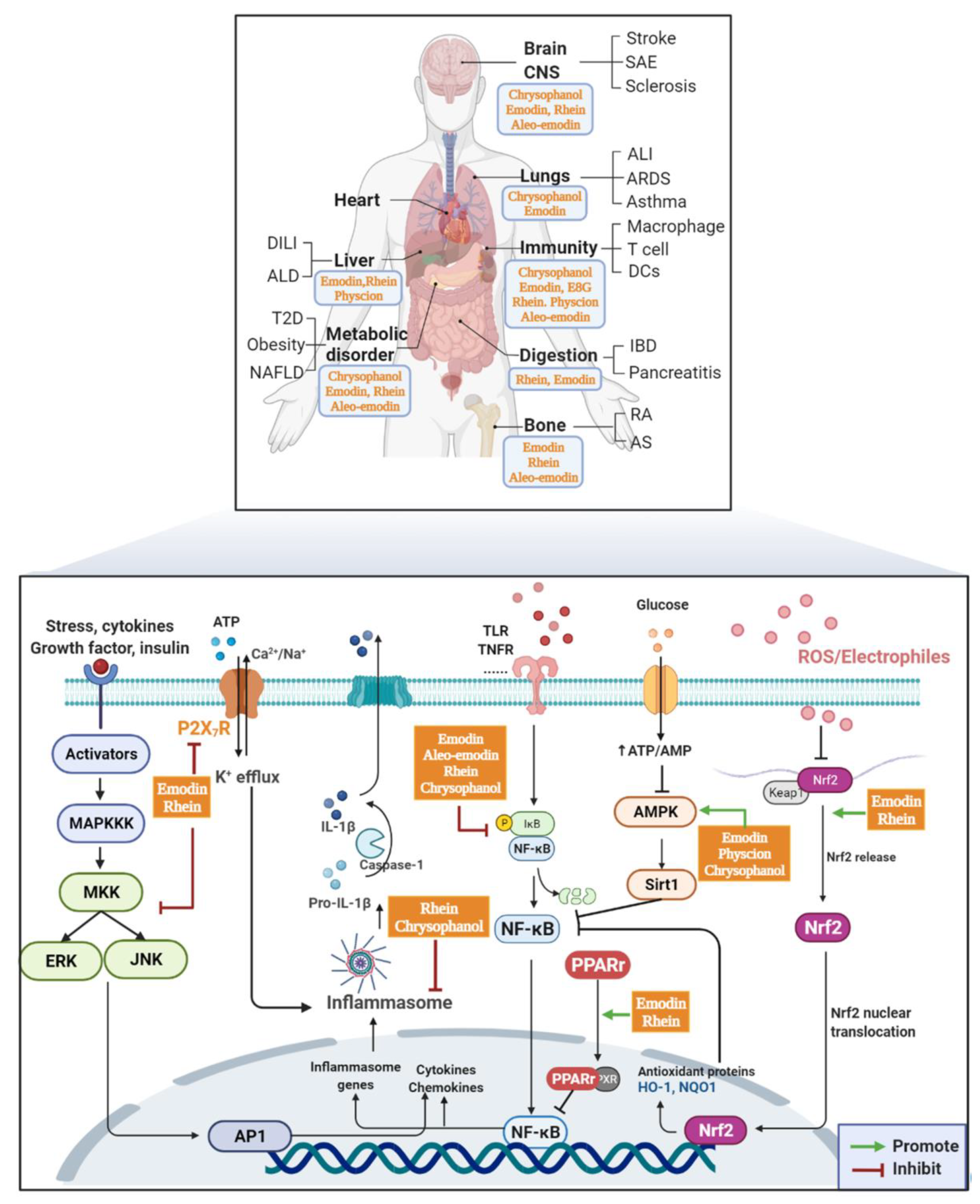 Molecules 27 03831 g002