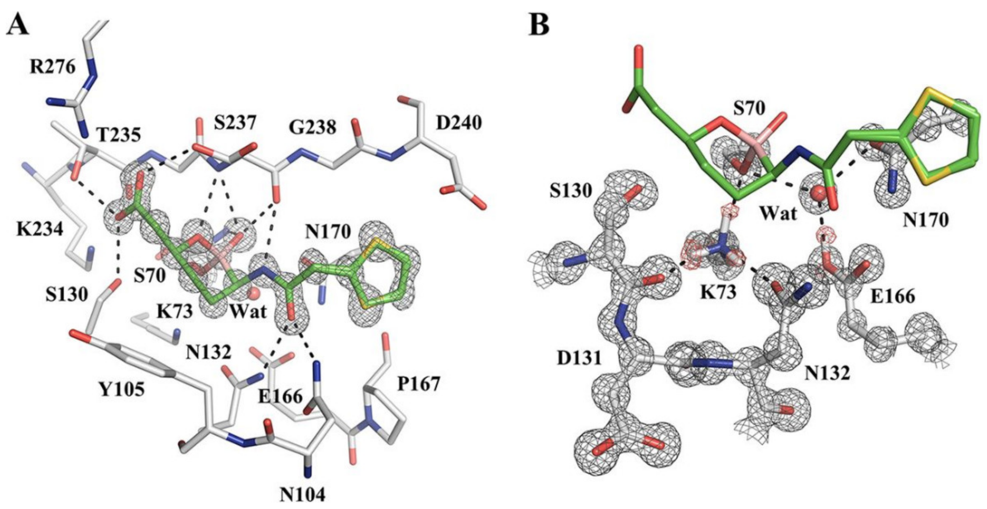 Molecules 27 03832 g003