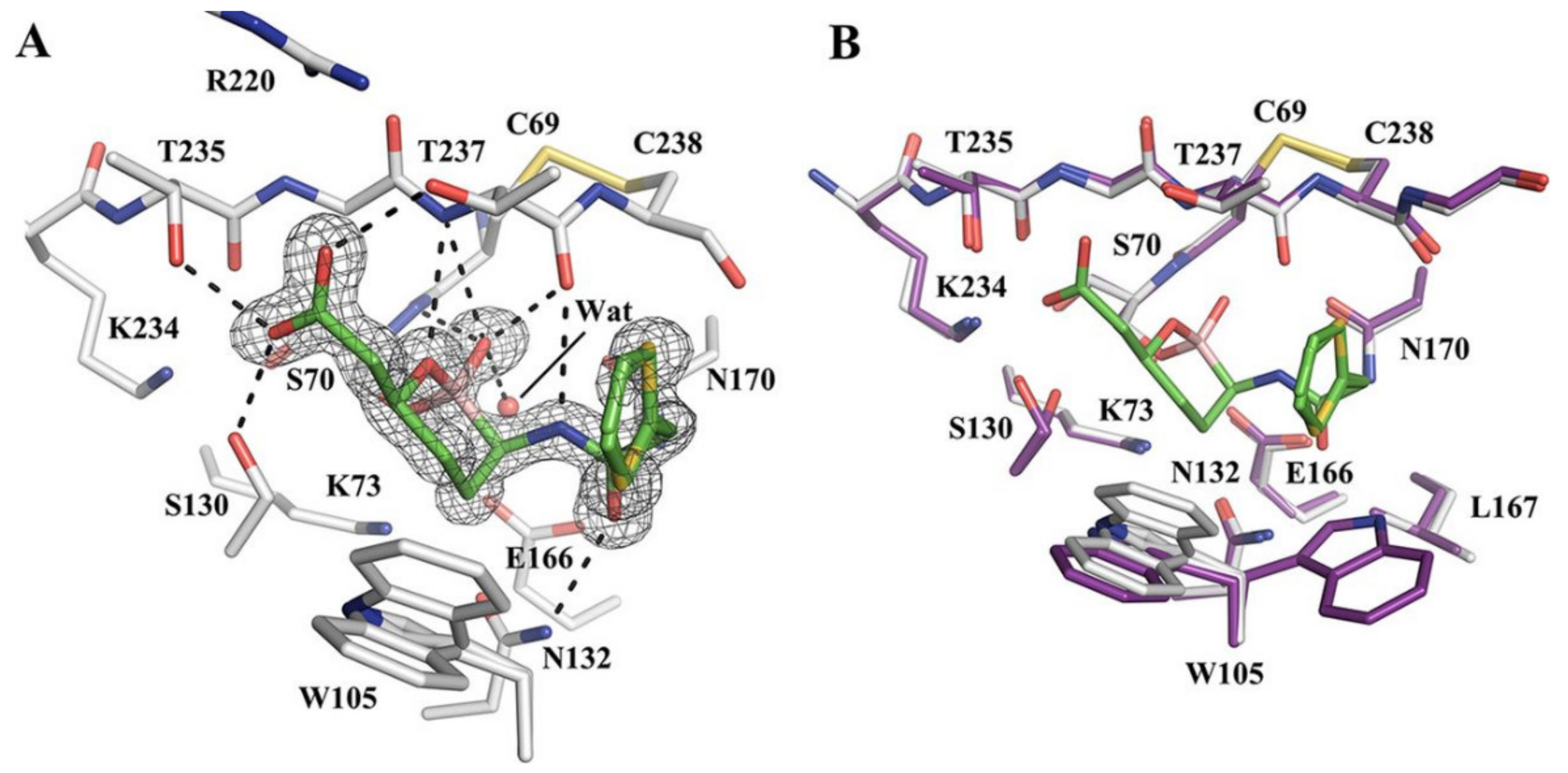 Molecules 27 03832 g004
