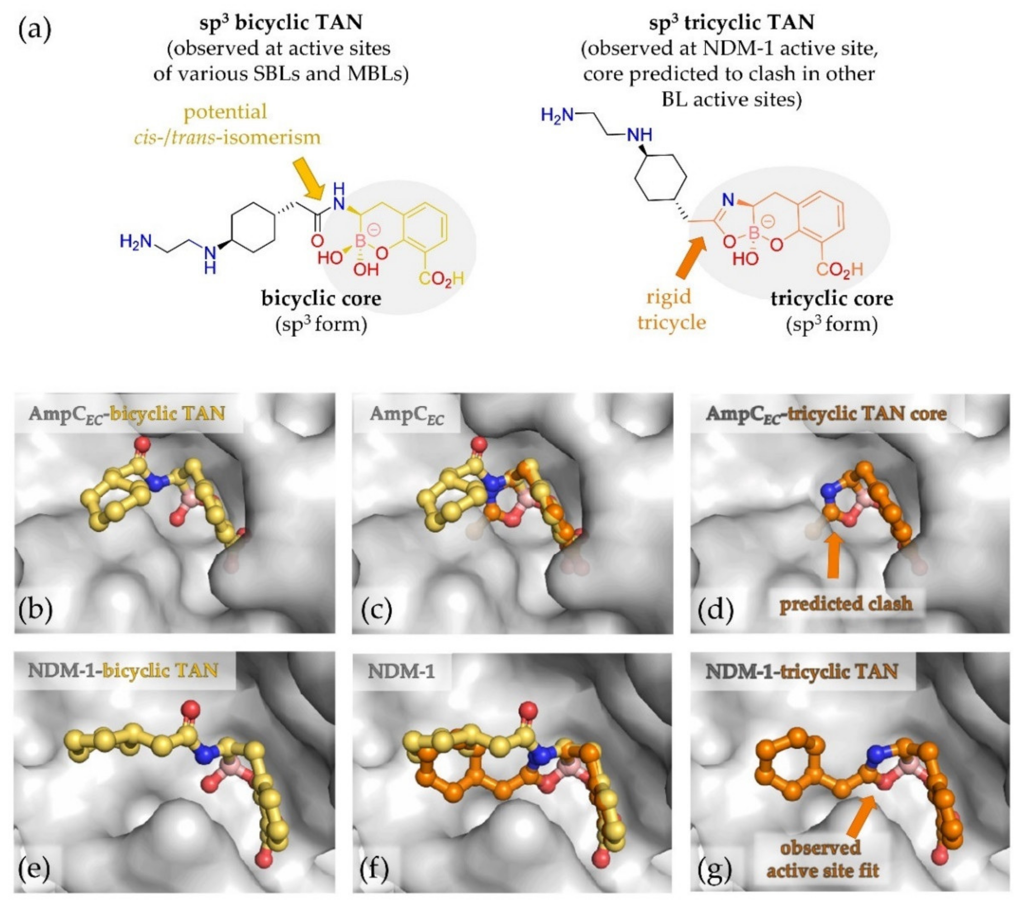 Molecules 27 03832 g006