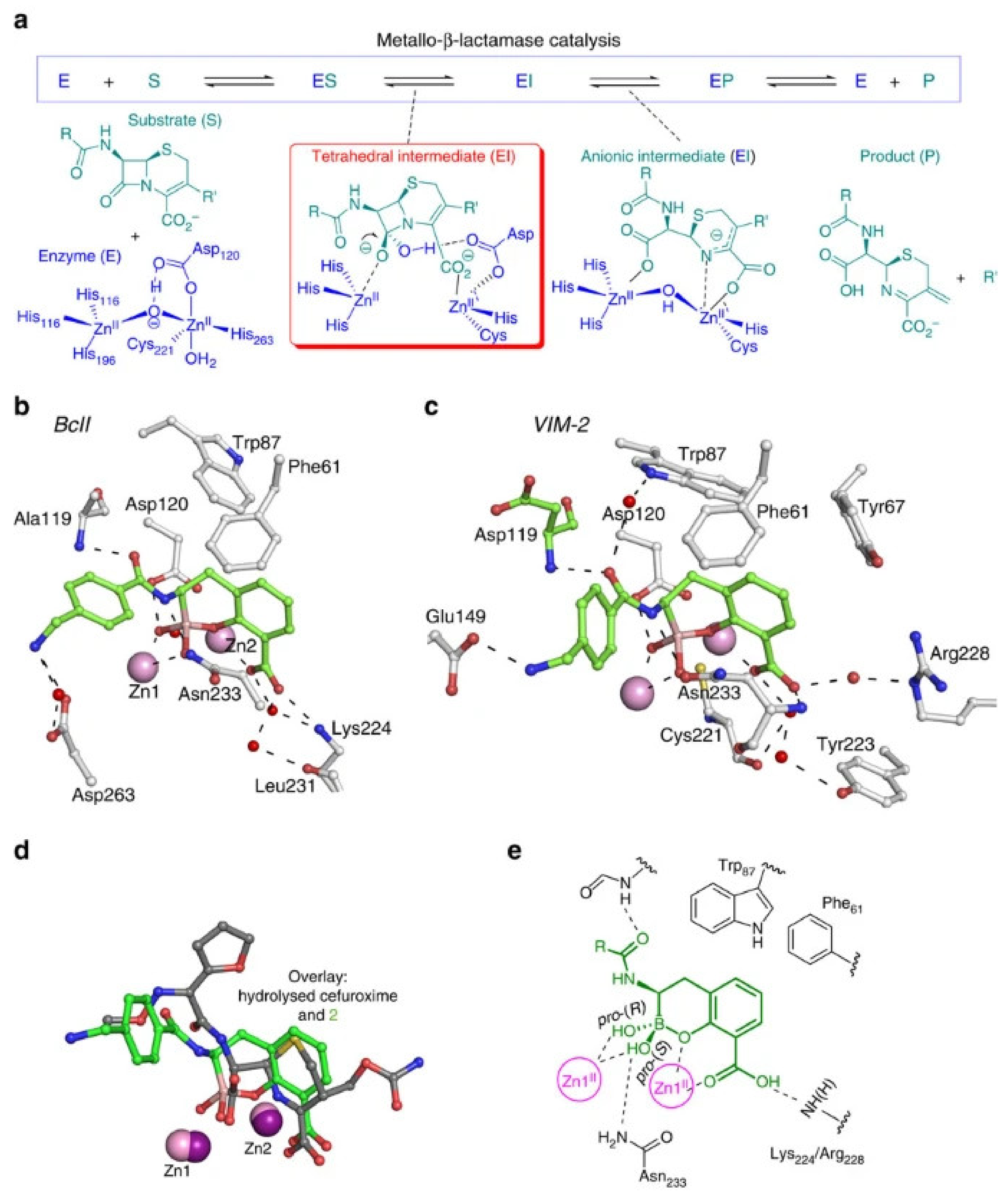 Molecules 27 03832 g007