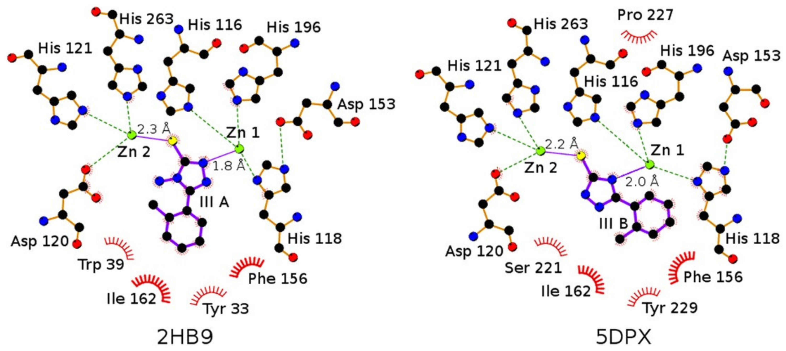 Molecules 27 03832 g009