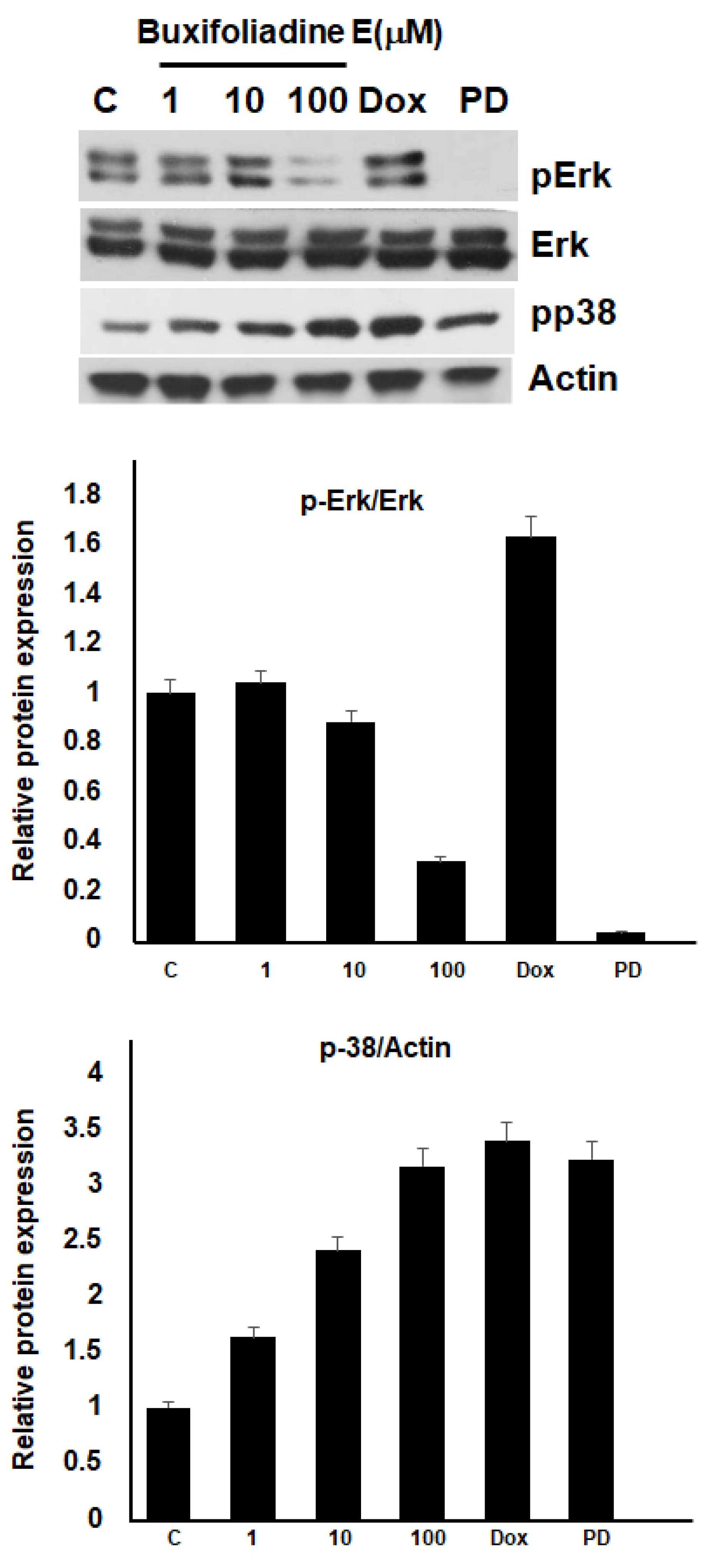 Molecules 27 03865 g009