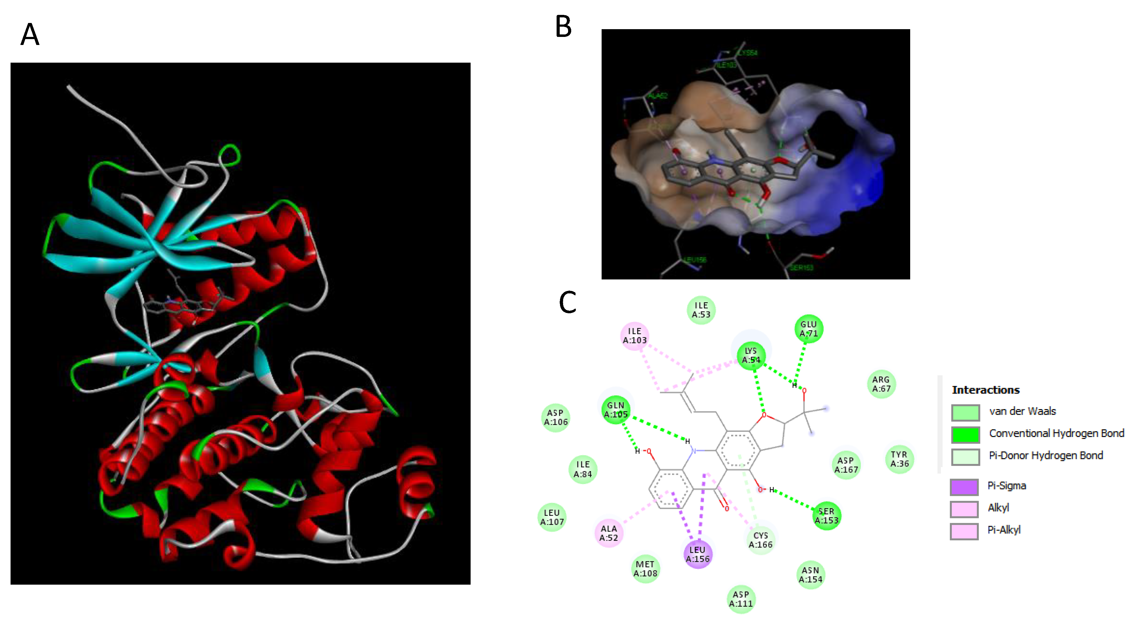 Molecules 27 03865 g011
