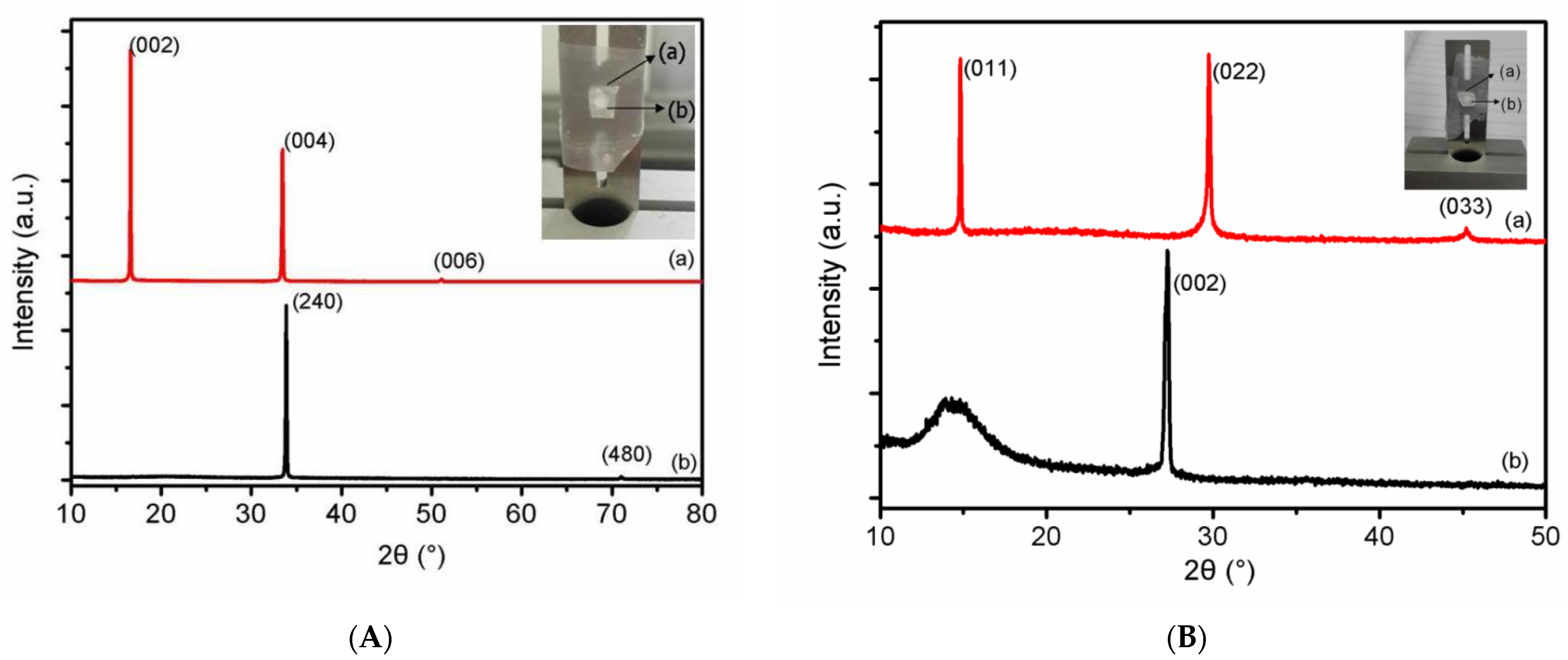 Molecules 27 03871 g006