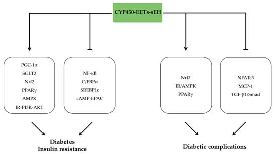 Soluble epoxide hydrolase deficiency attenuates lipotoxic cardiomyopathy  via upregulation of AMPK-mTORC mediated autophagy - Journal of Molecular  and Cellular Cardiology