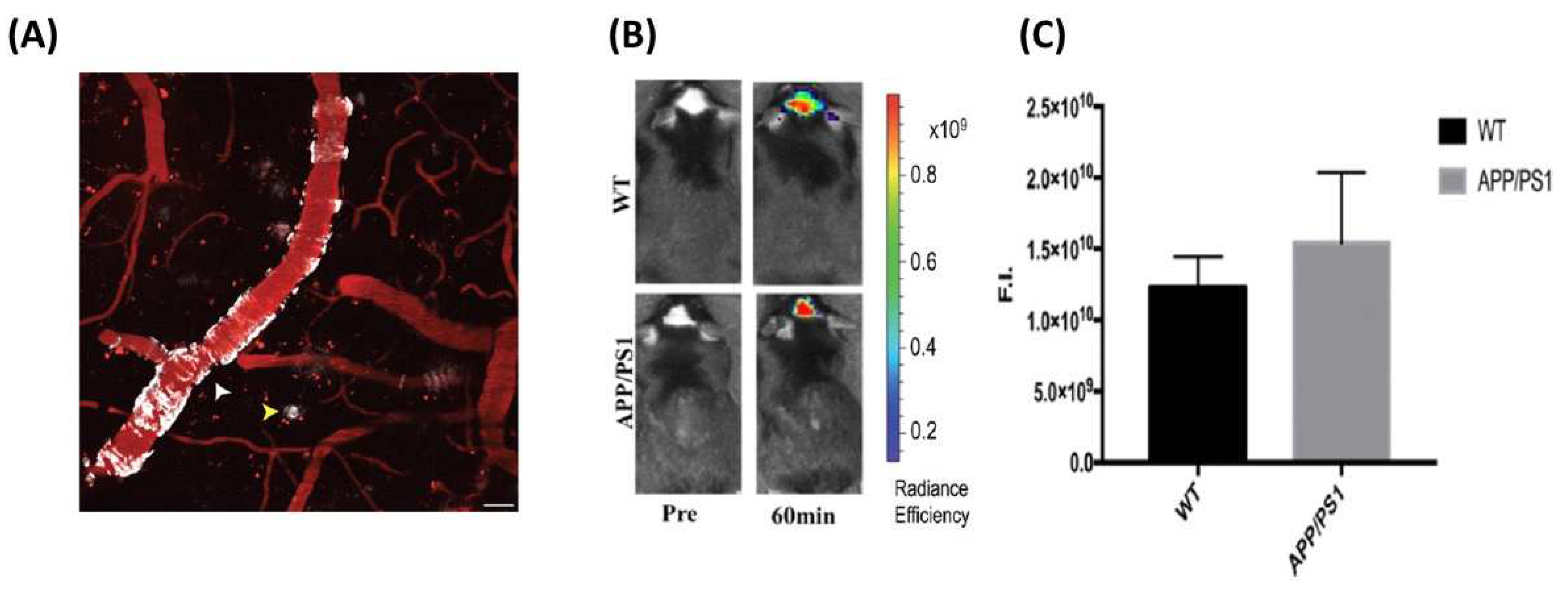 Molecules 27 03879 g006