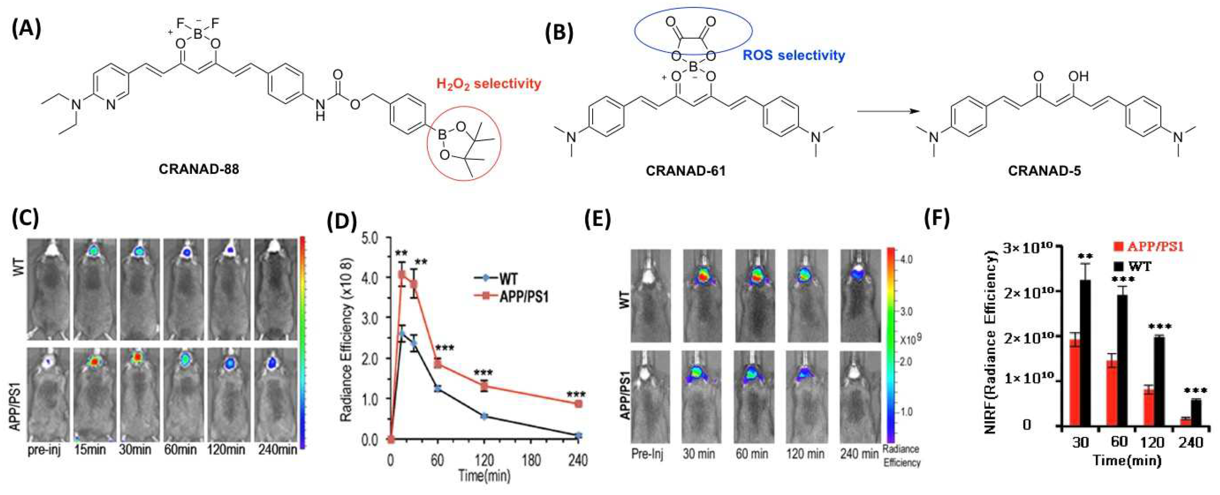 Molecules 27 03879 g008