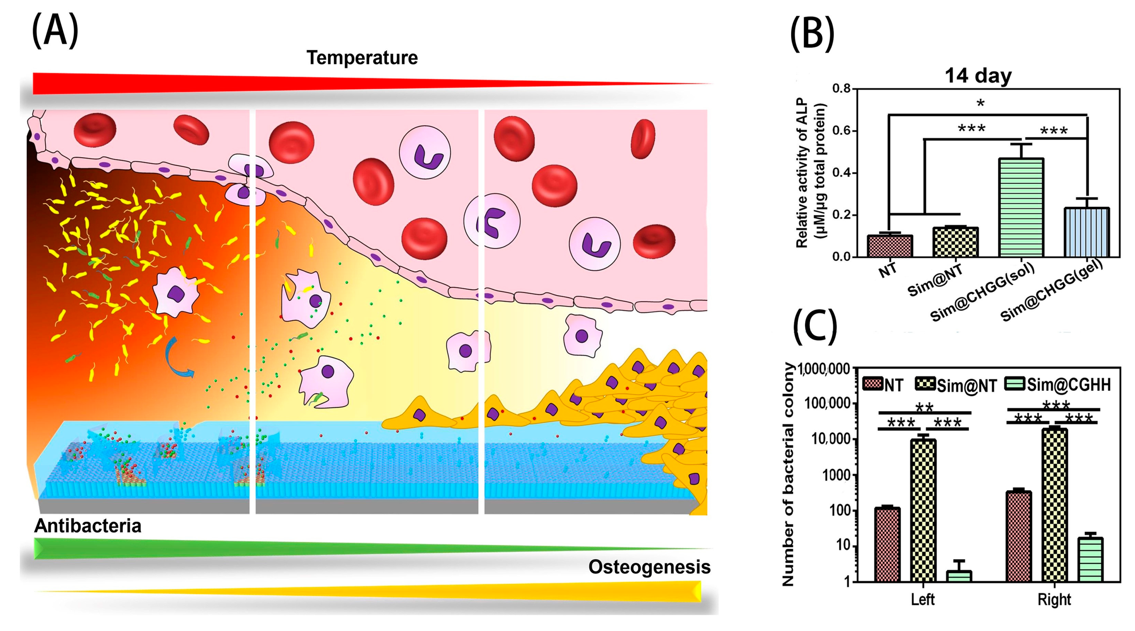 Molecules 27 03881 g002