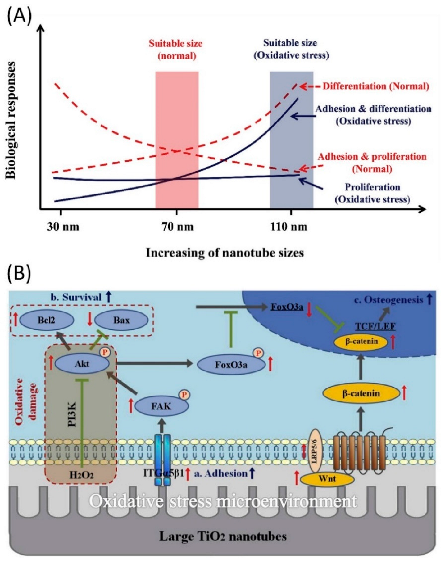 Molecules 27 03881 g003