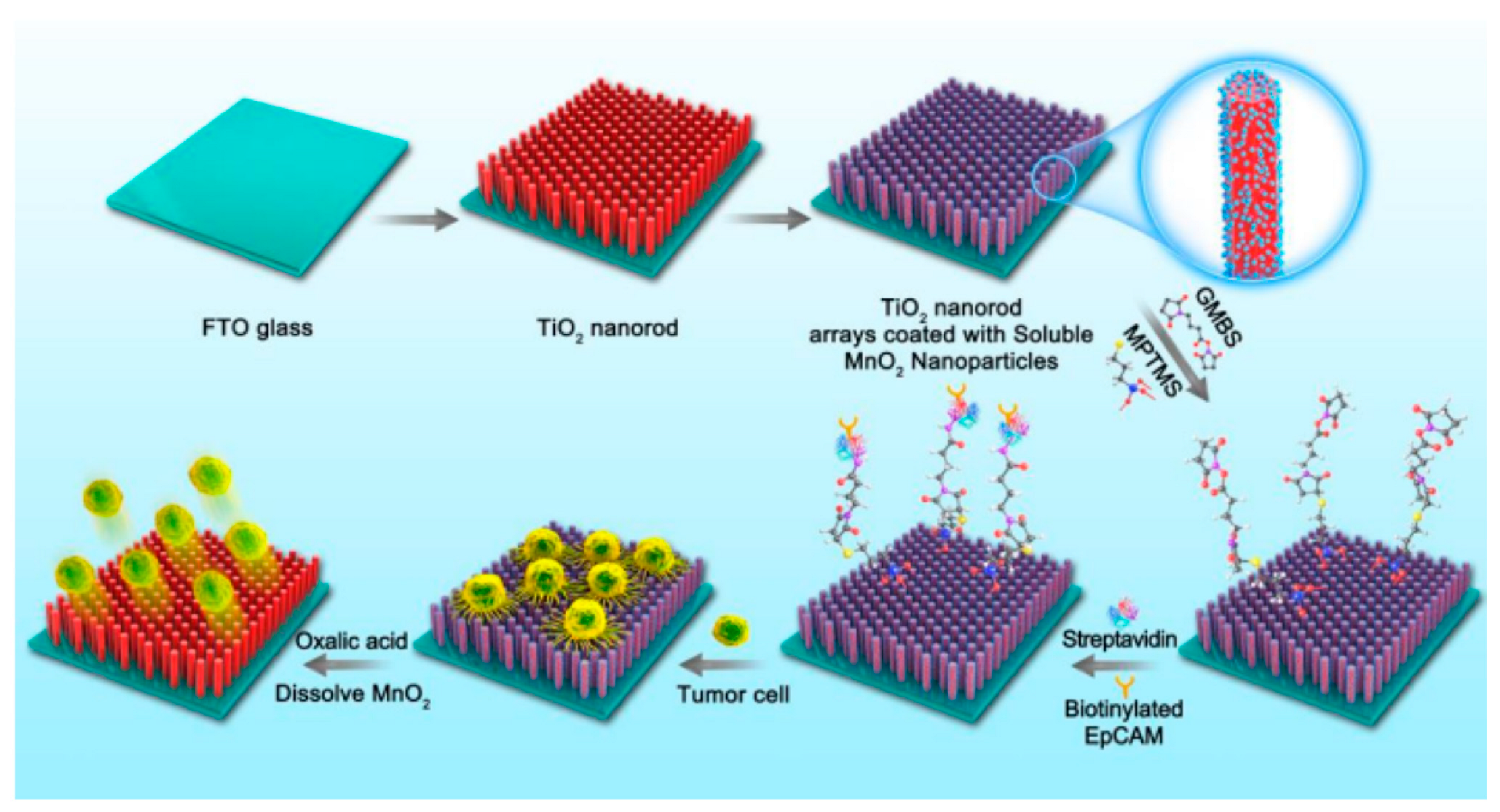 Molecules 27 03881 g005