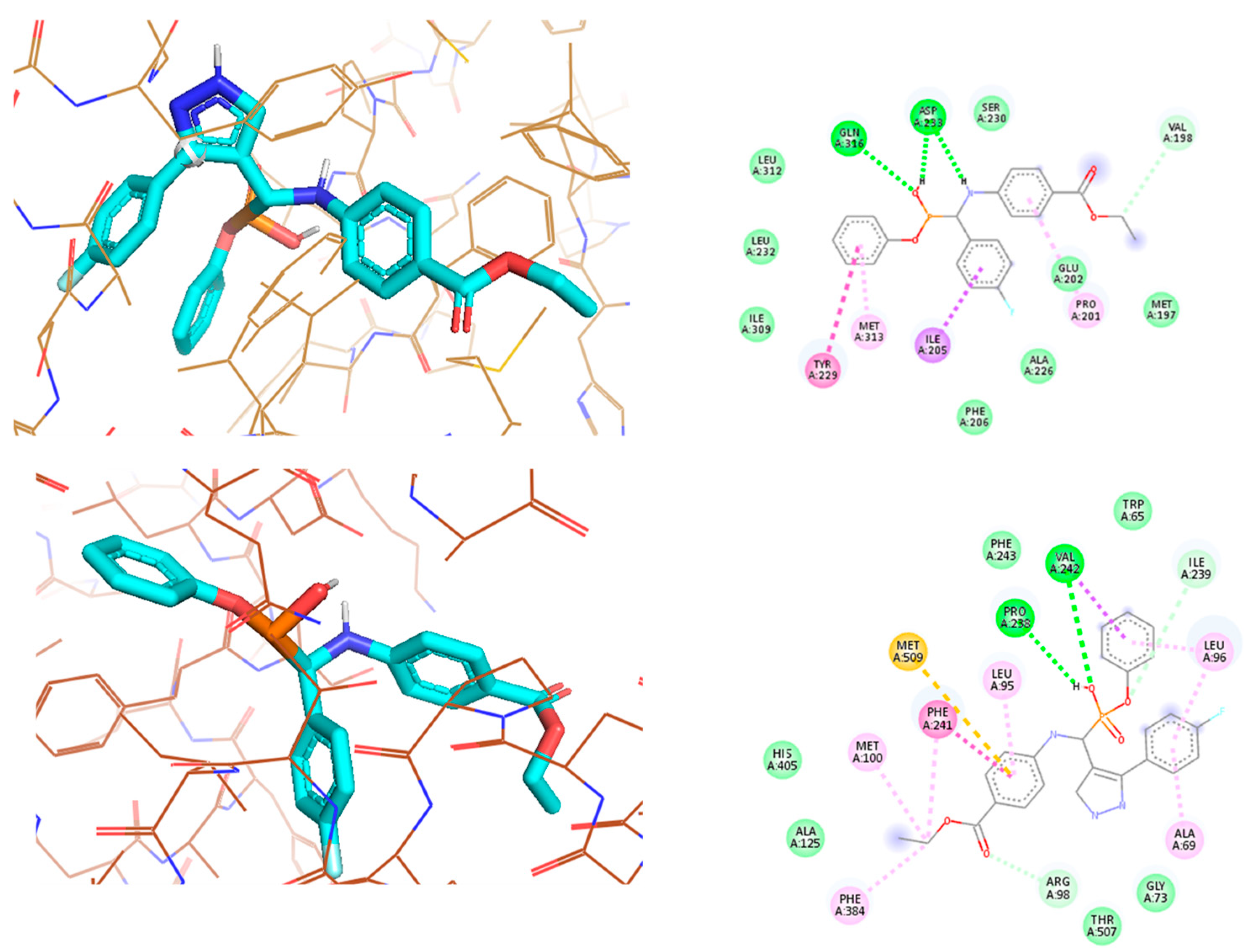 Molecules 27 03886 g004