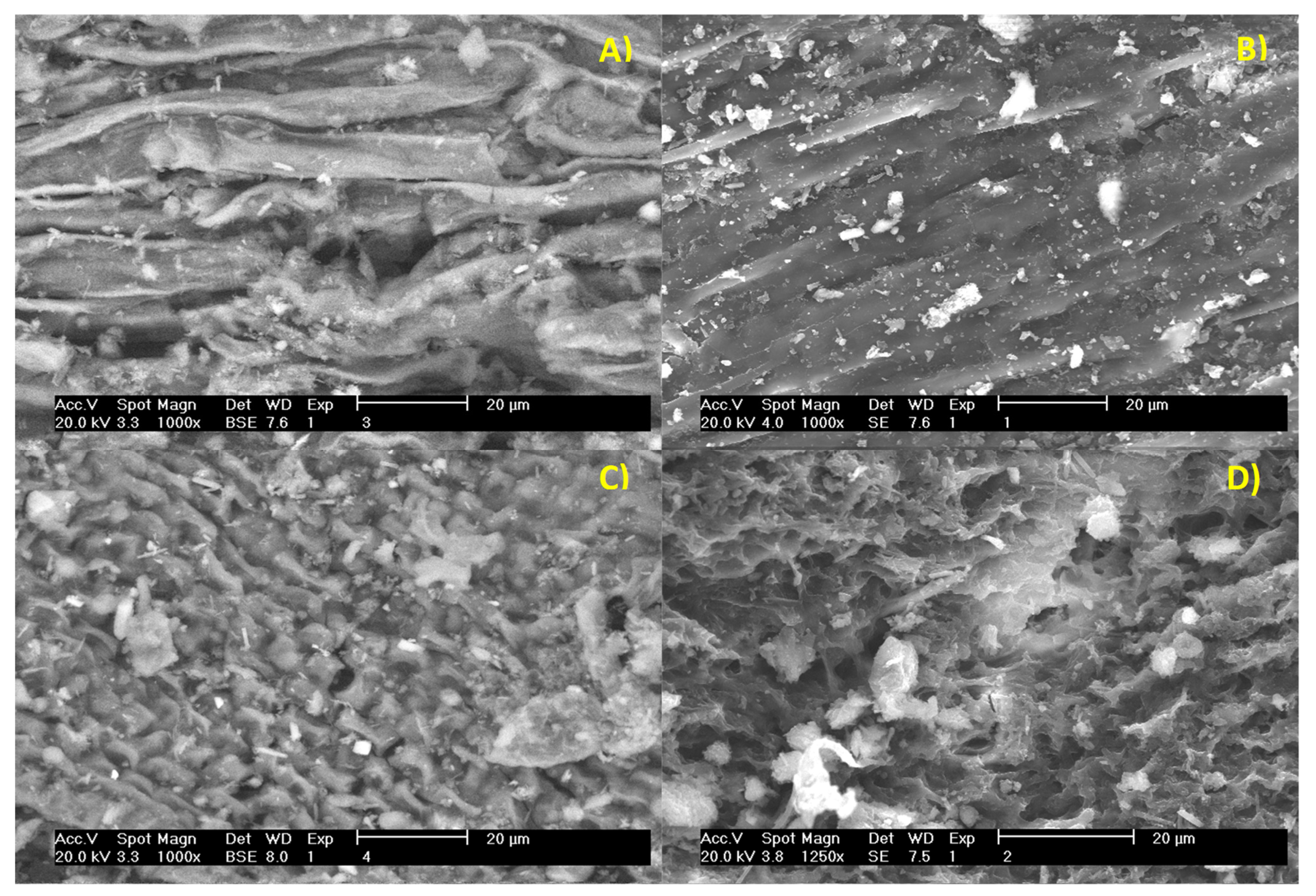 Molecules 27 03887 g007