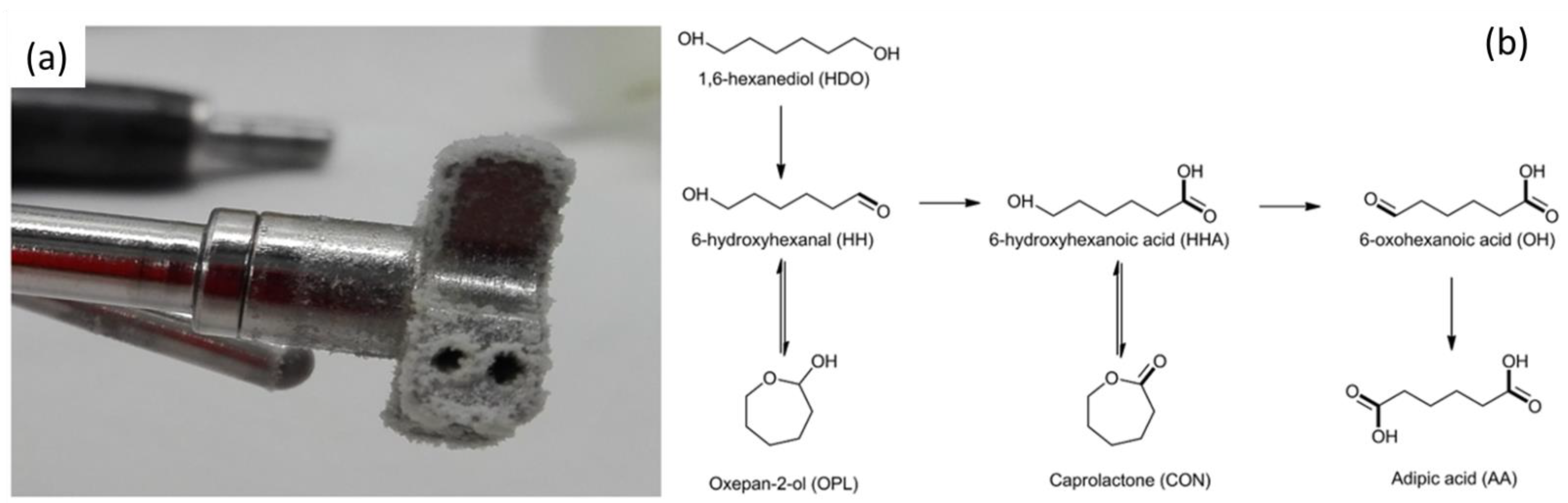 Molecules 27 03889 g005