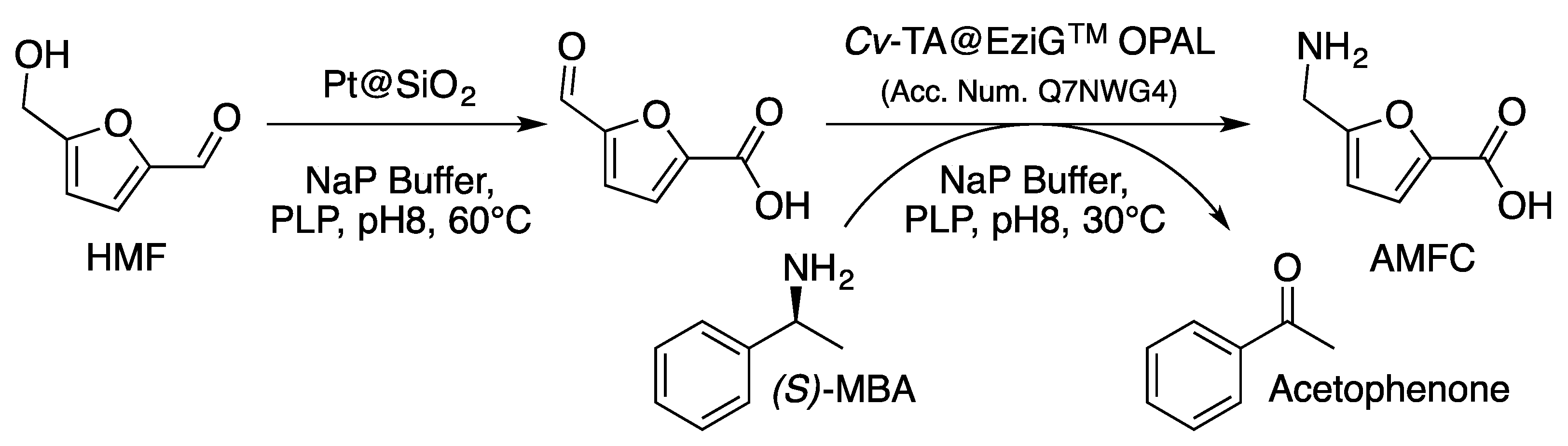 Molecules 27 03889 g018