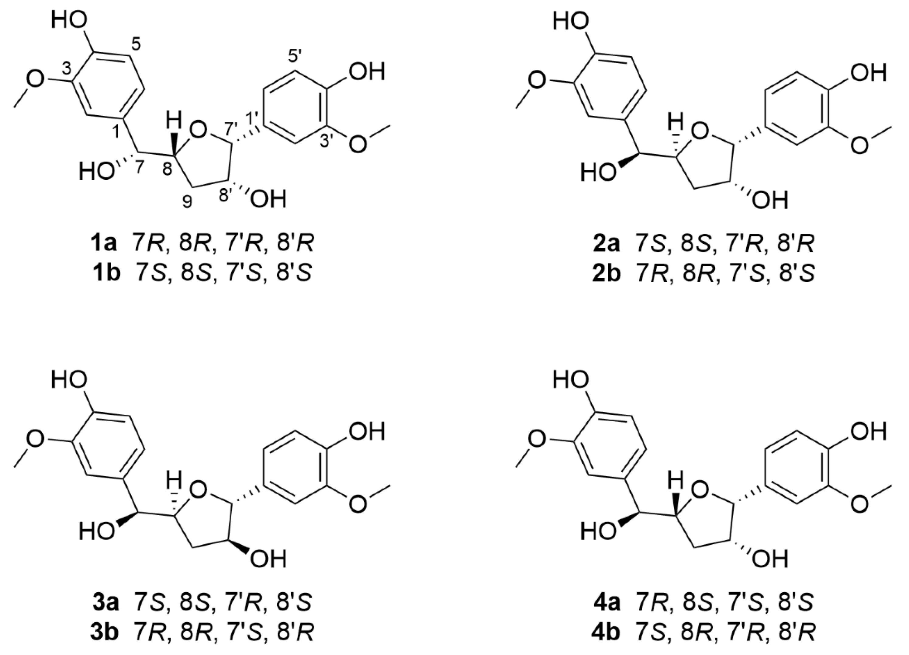 Molecules 27 03907 g001