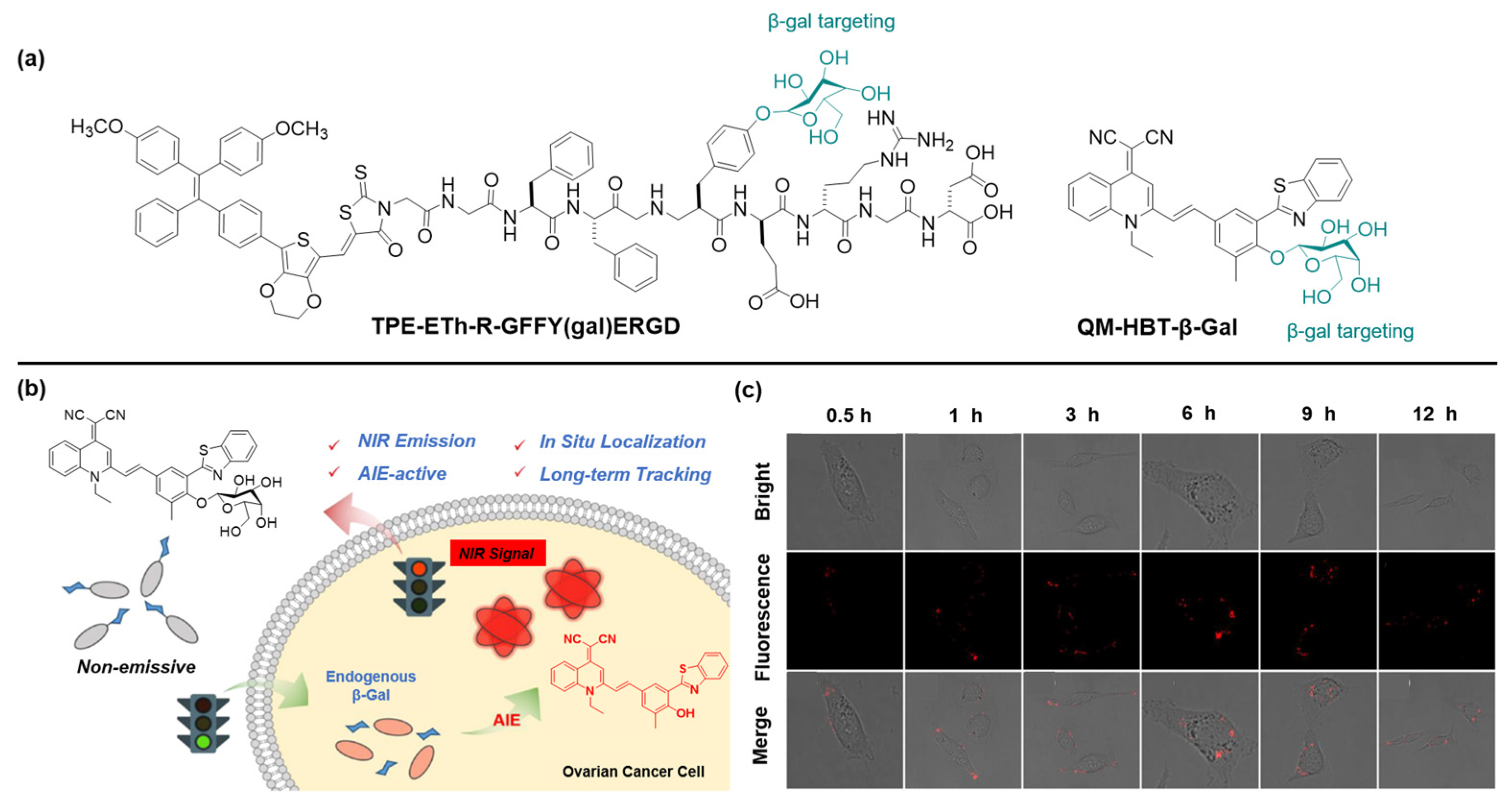 Molecules 27 03914 g002